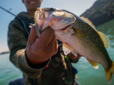 Man catching a fish