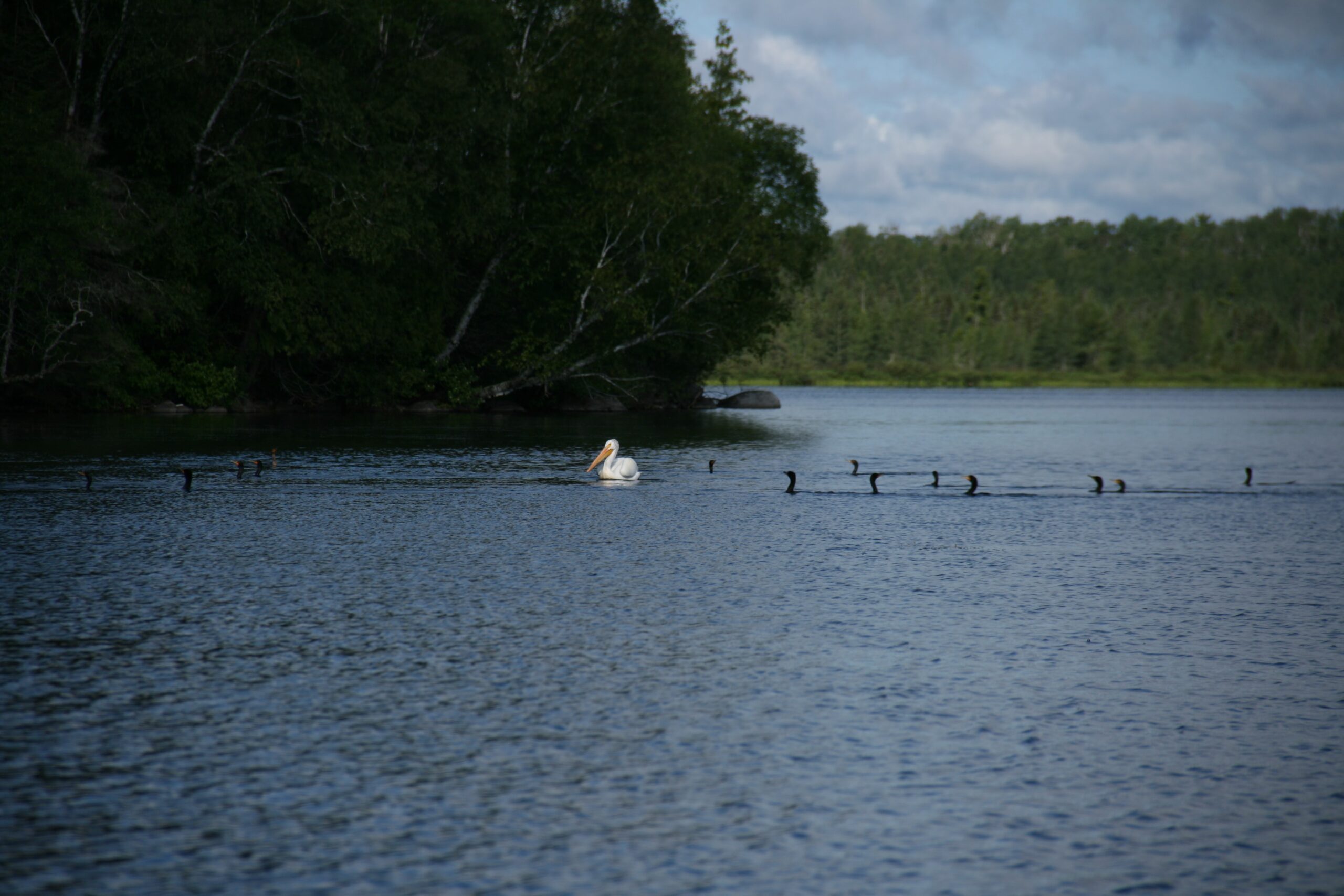 best time to visit Lake Vermilion