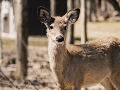 best time to visit Lake Wallenpaupack