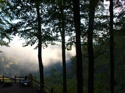 best time to visit Norris Lake