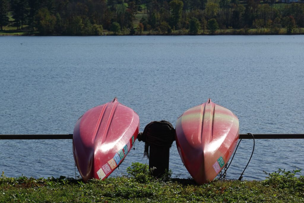 best time to visit norris lake4