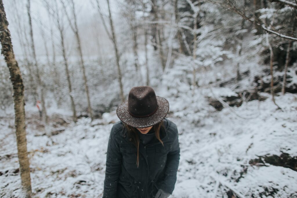 blue ridge mountains winter x