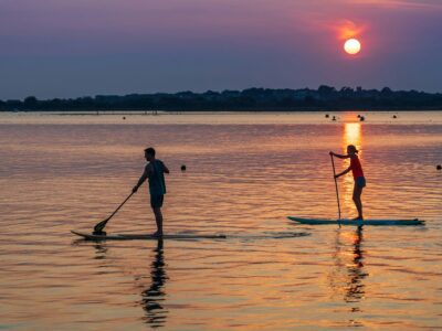 paddle board rental