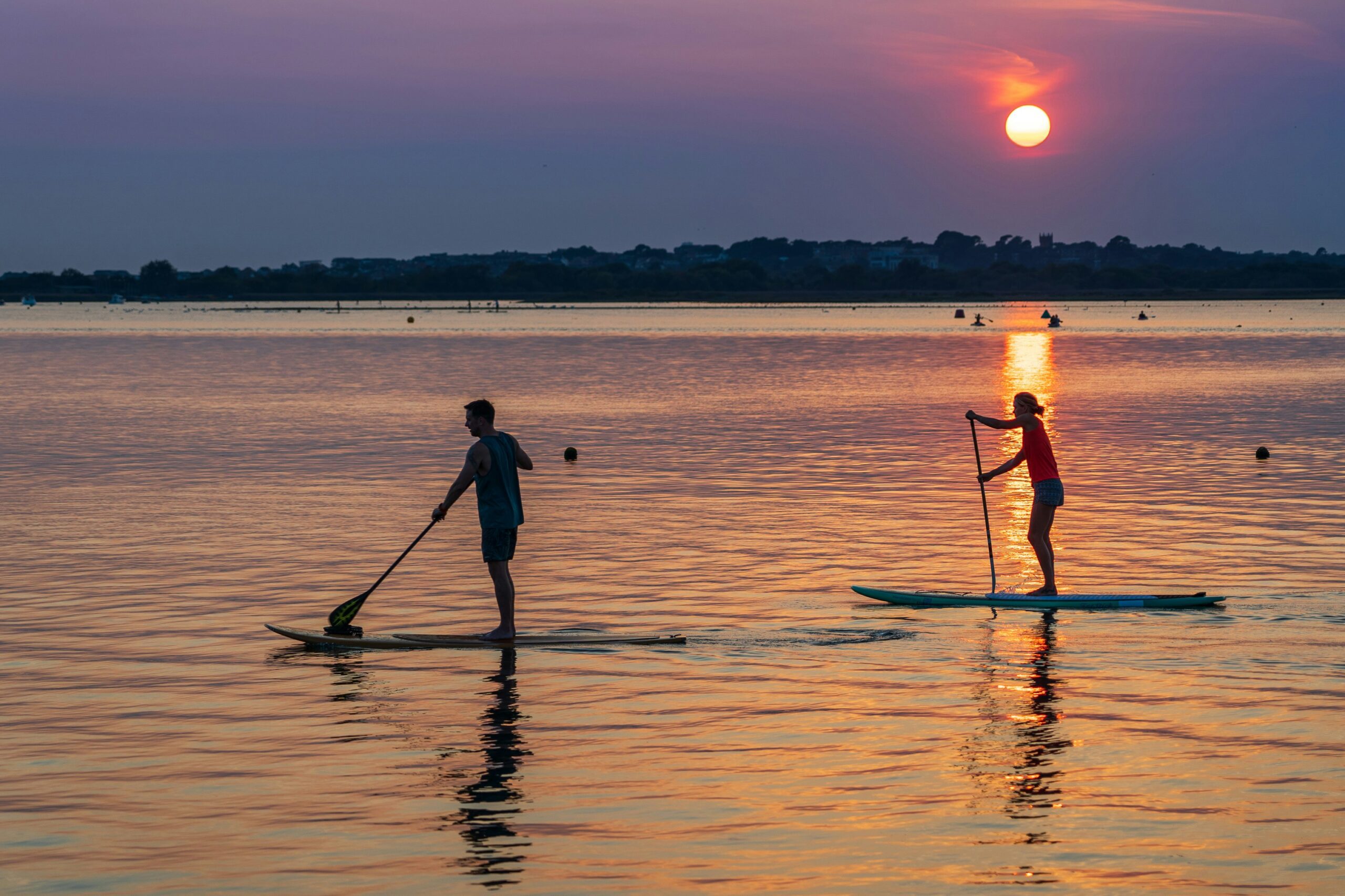 paddle board rental