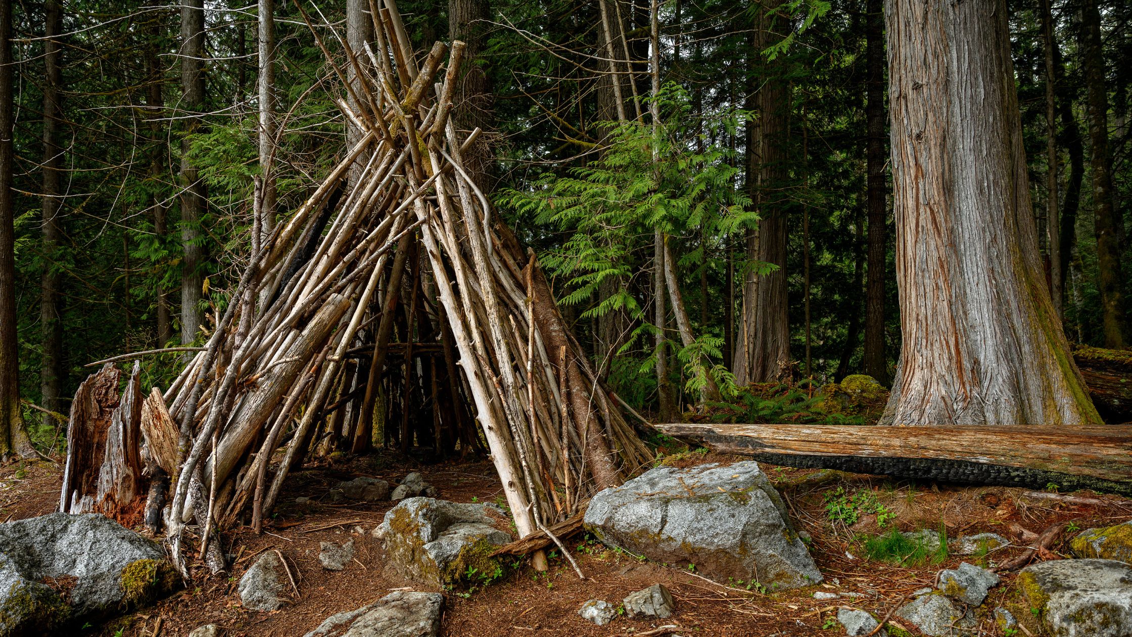 5 Outdoor Shelters How To Build Them to Survive in Nature