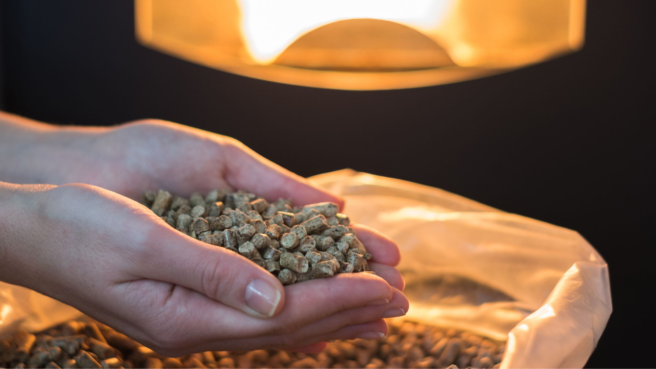 Pellets being held by a woman, preparing to put them into a pellet stove.