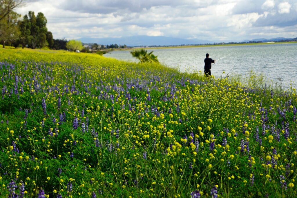 best time to visit lake elsinore x