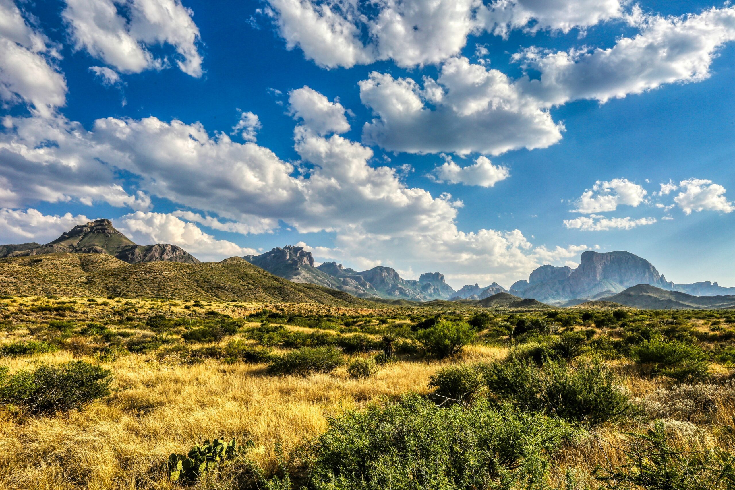 big bend national park