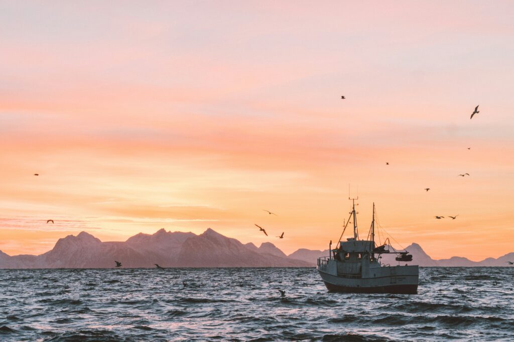 fishing boats x