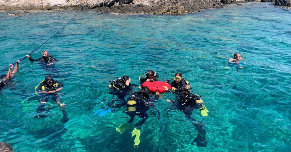 snorkeling tours x