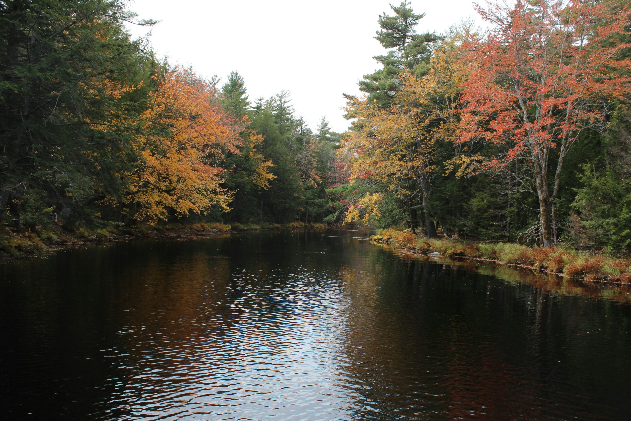 Kejimkujik National Park