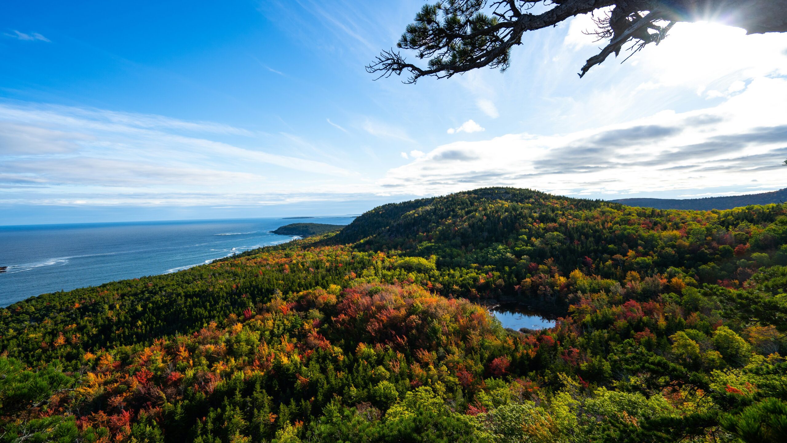 acadia national park scaled