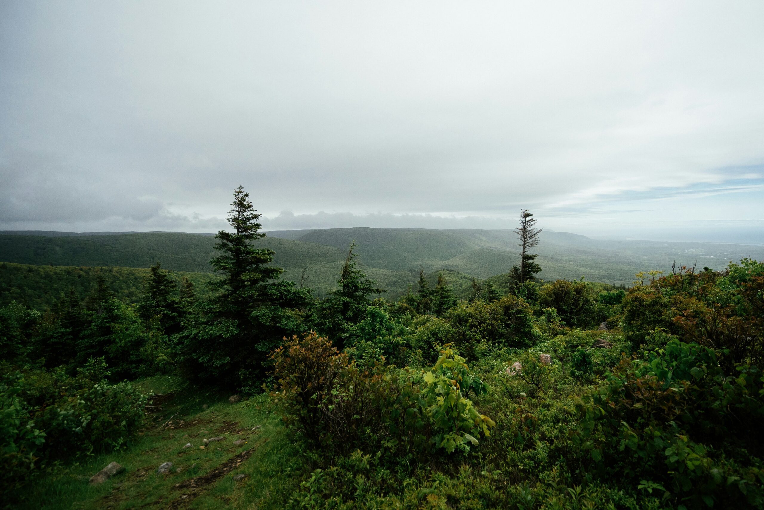 cape breton highlands scaled