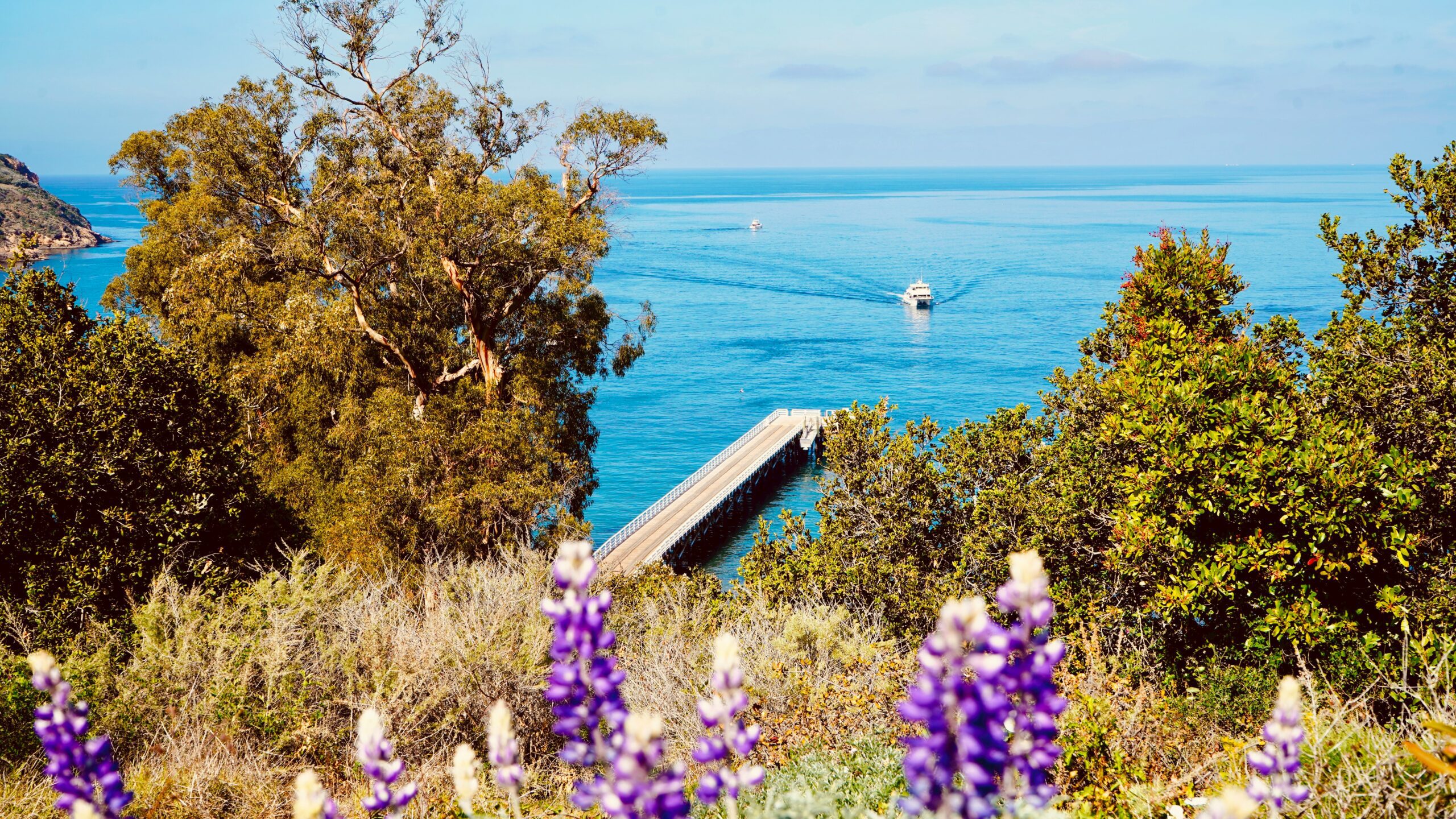 channel islands national park scaled