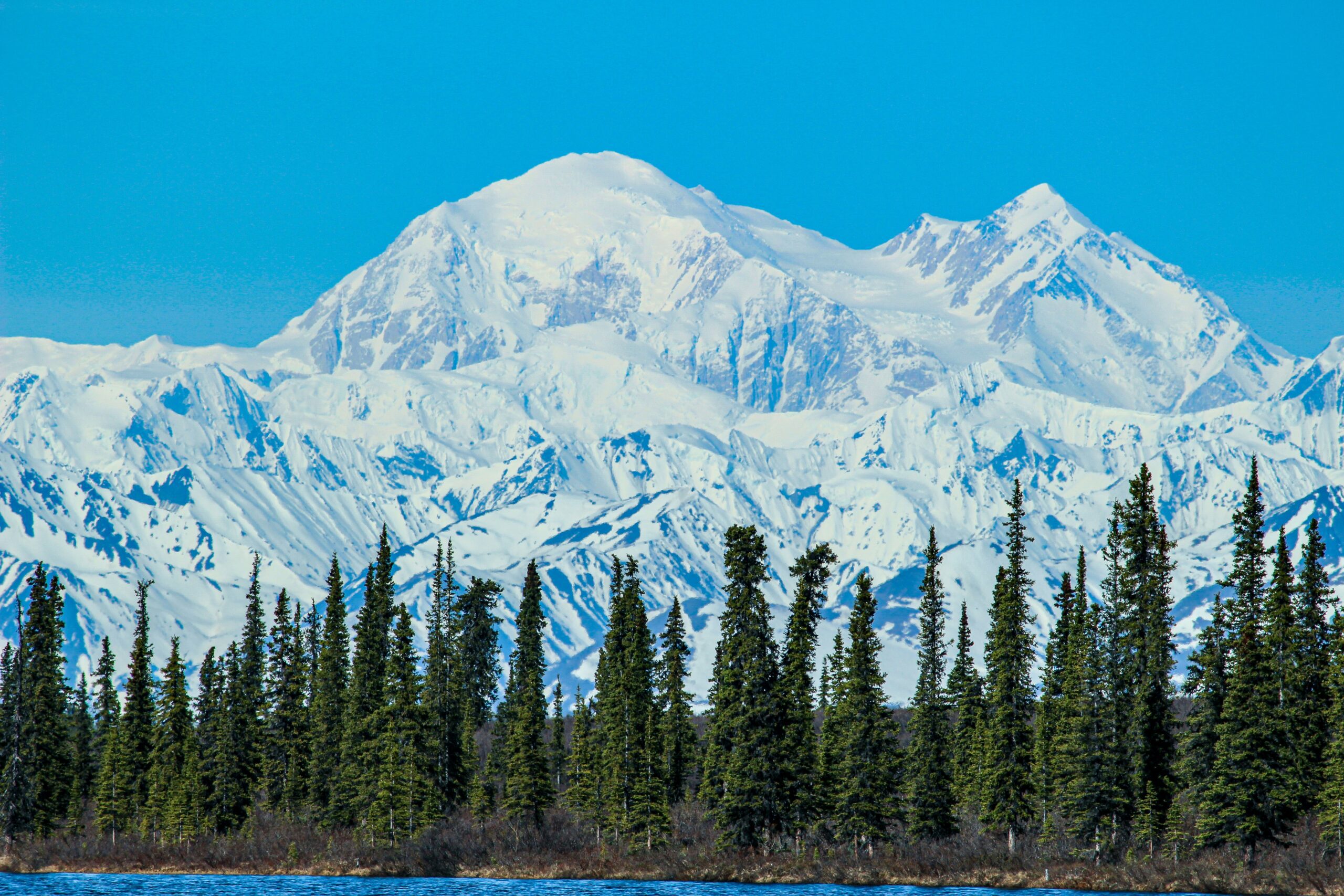 denali national park