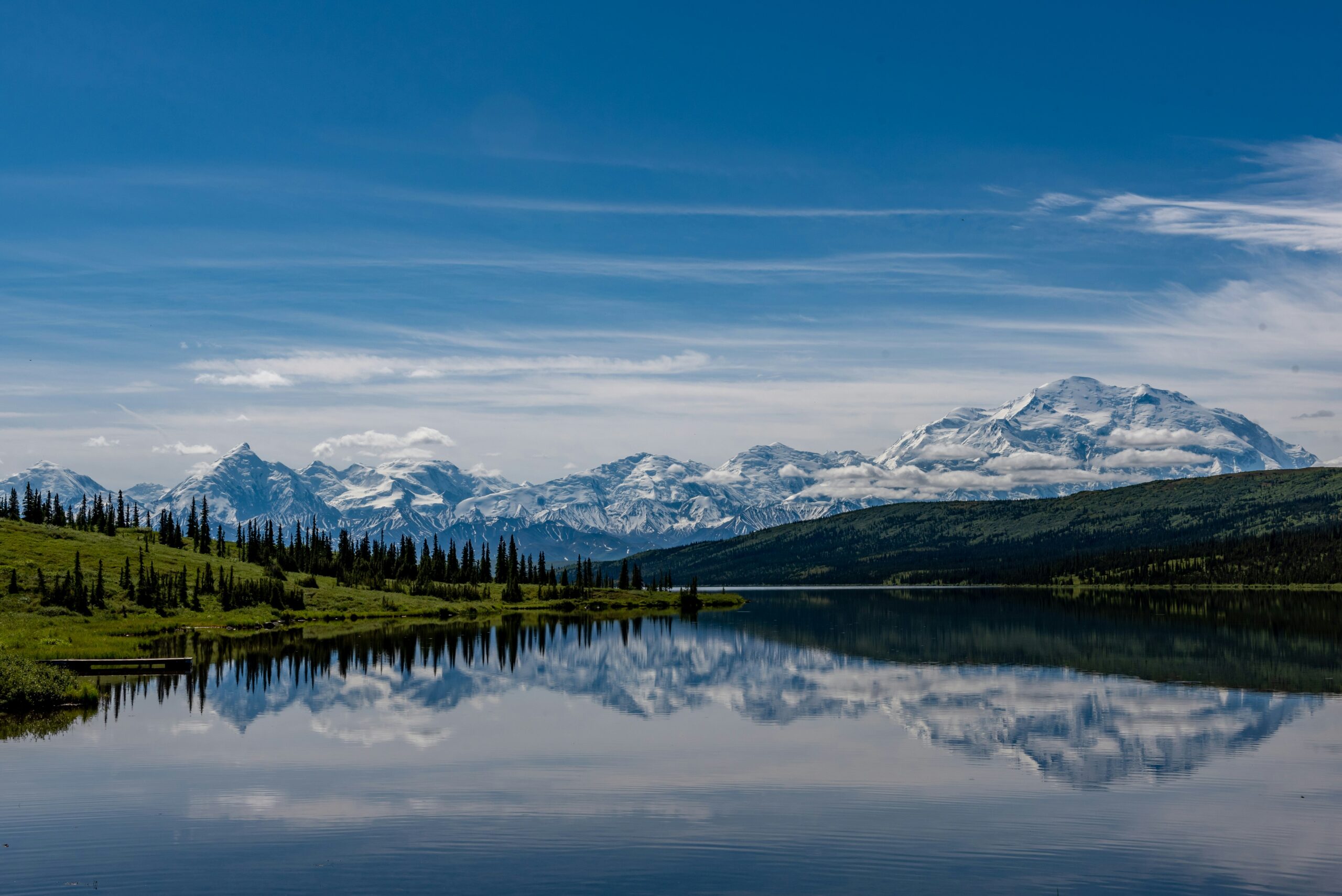 denali national park2 scaled