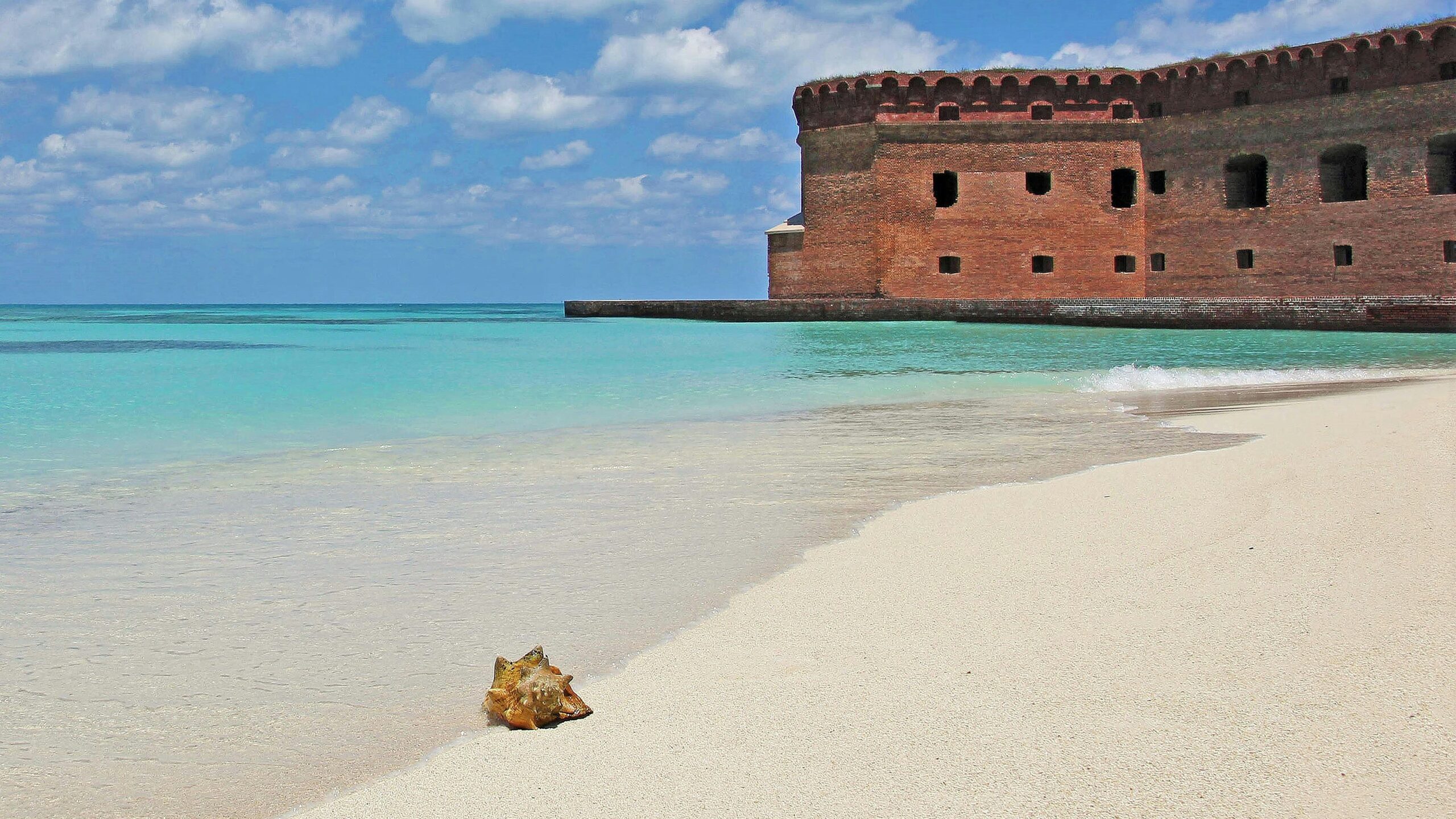 dry tortugas national park scaled