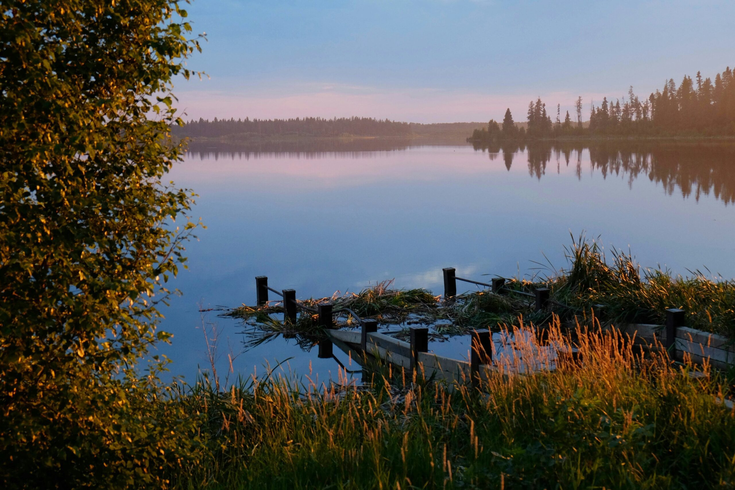 elk island national park