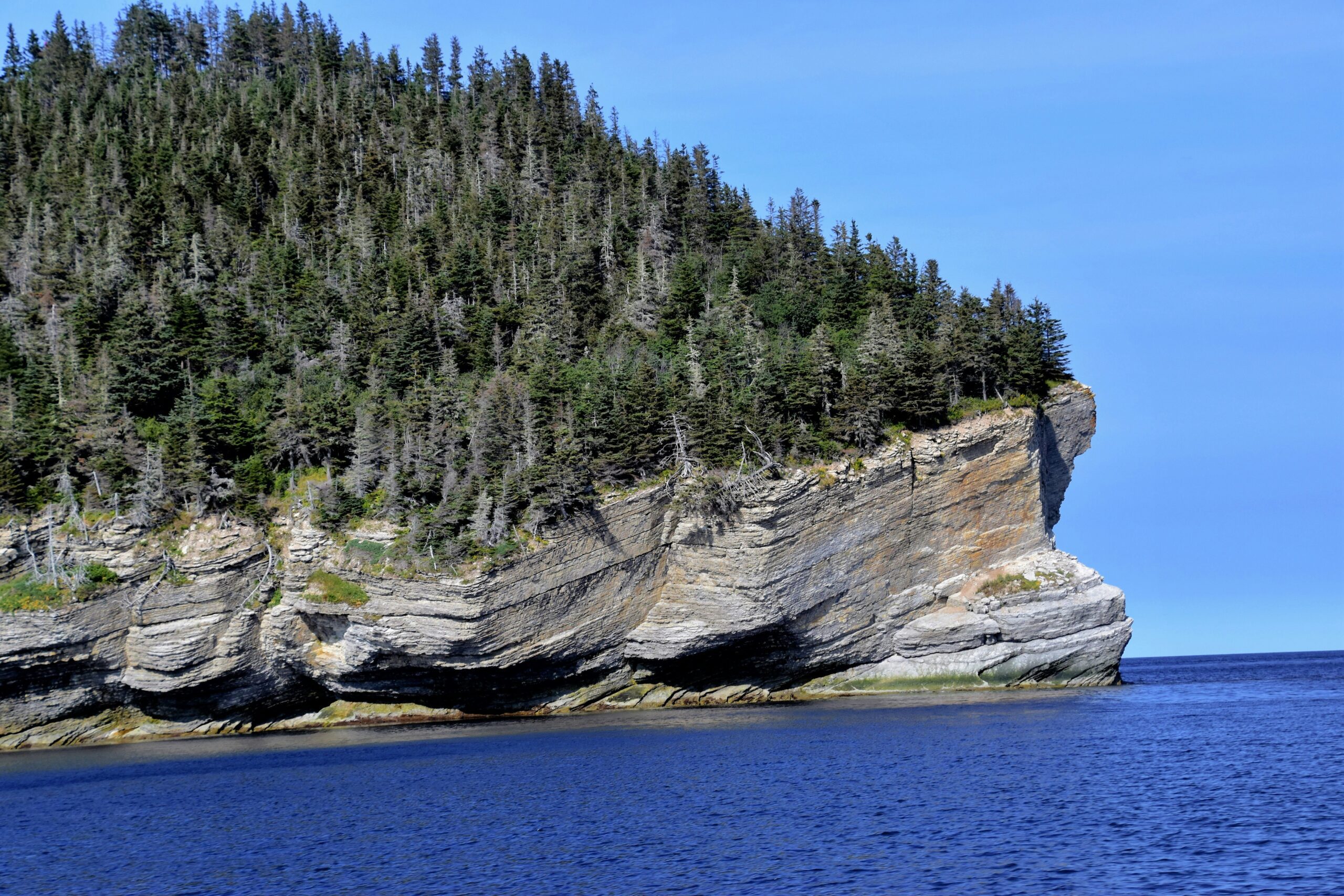 forillon national park scaled