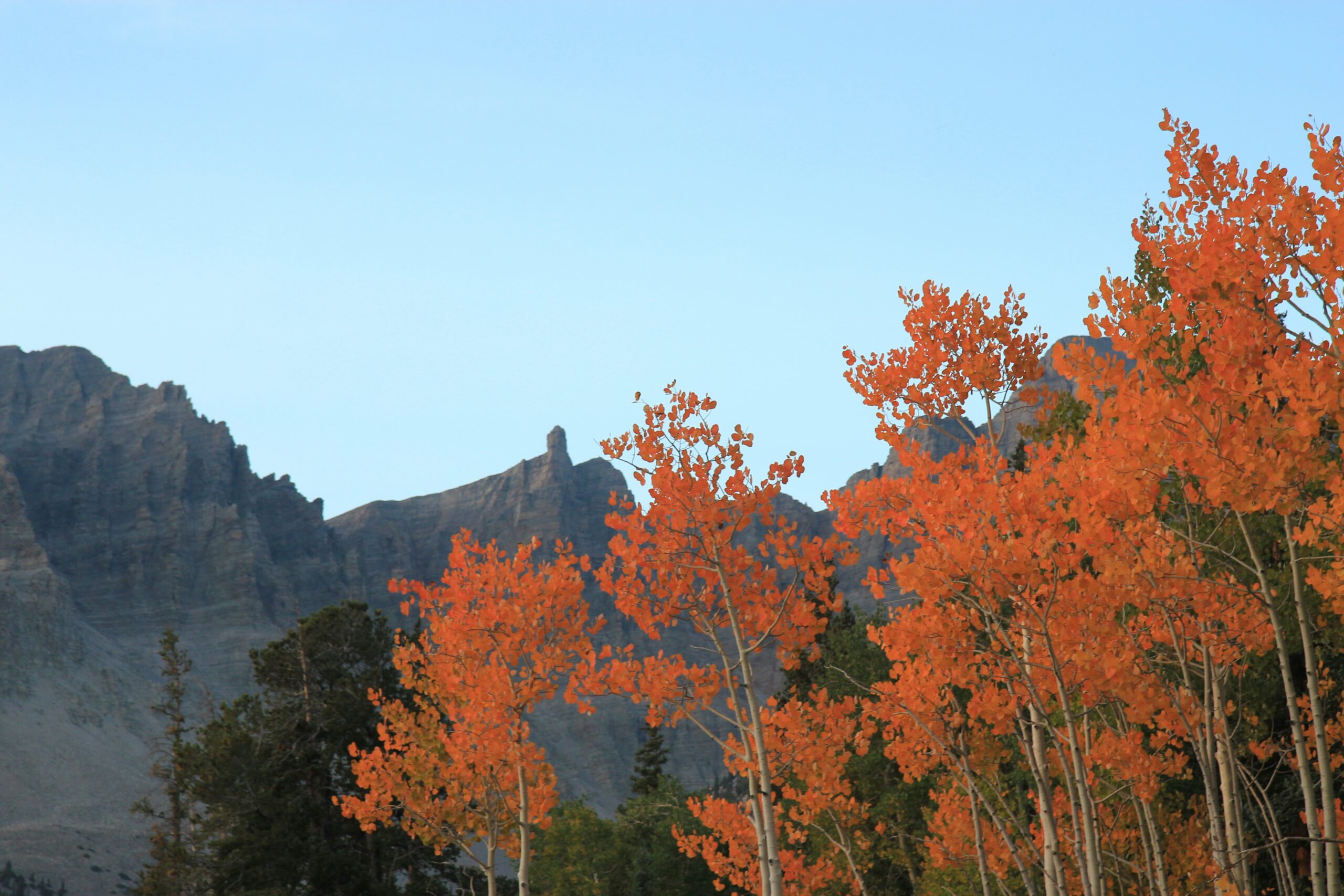 great basin national park scaled