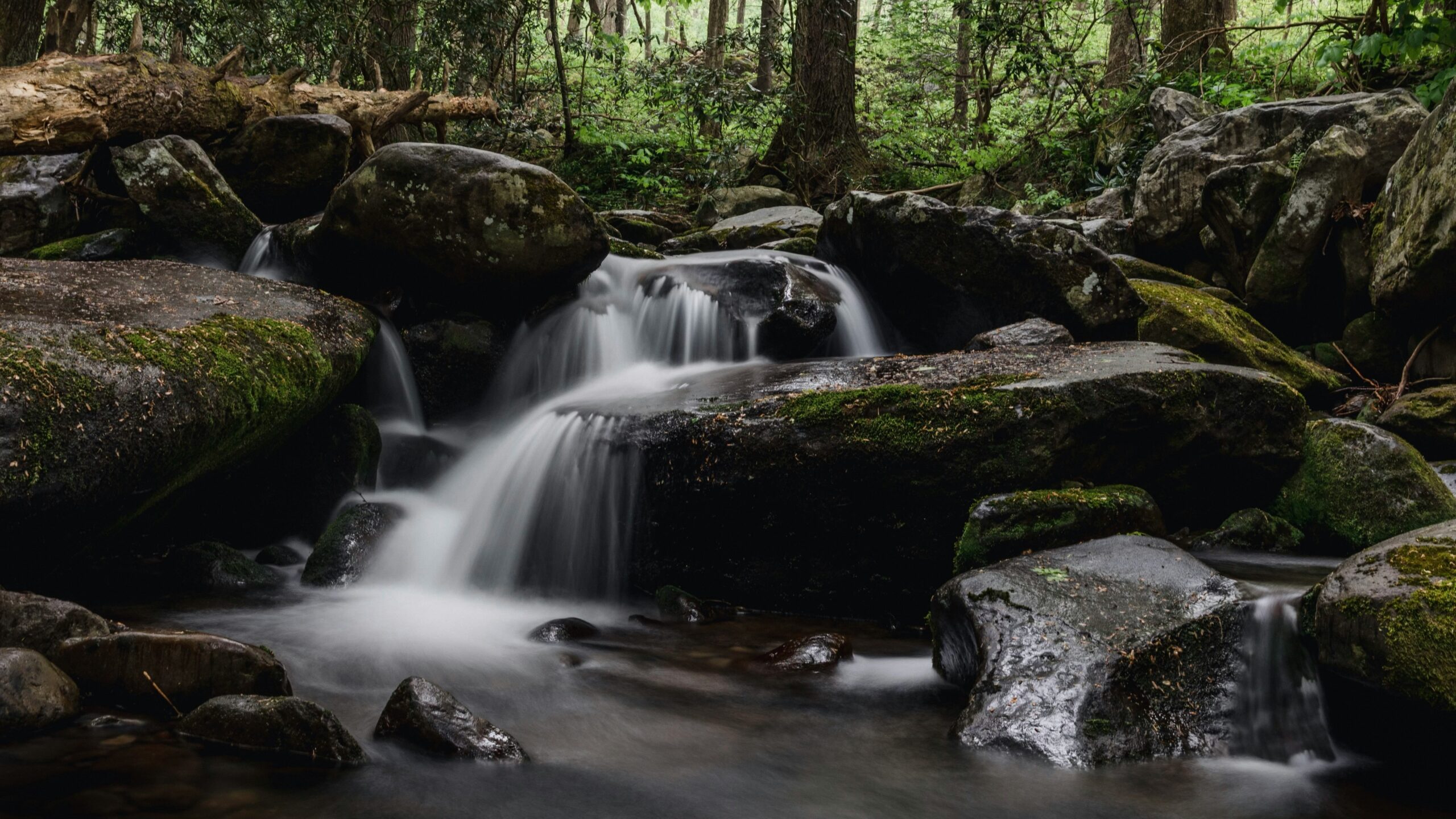 great smoky mountains national park3 scaled