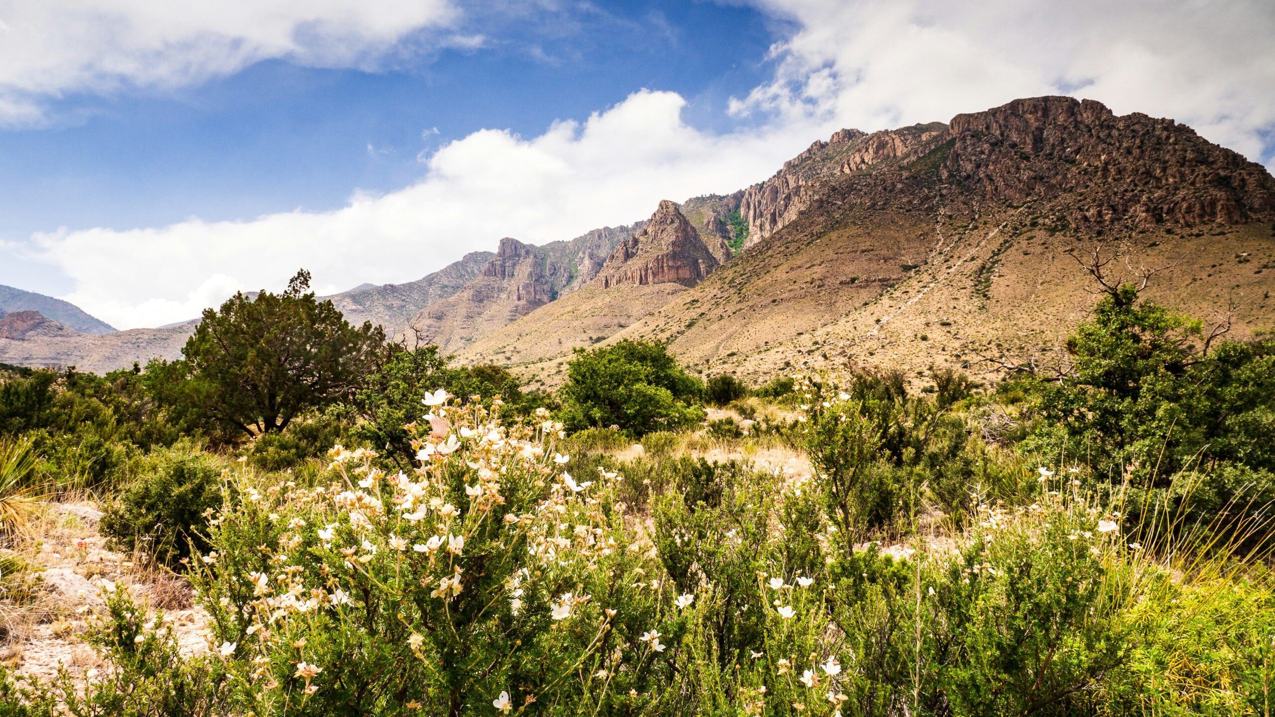 guadalupe mountains national park2 scaled