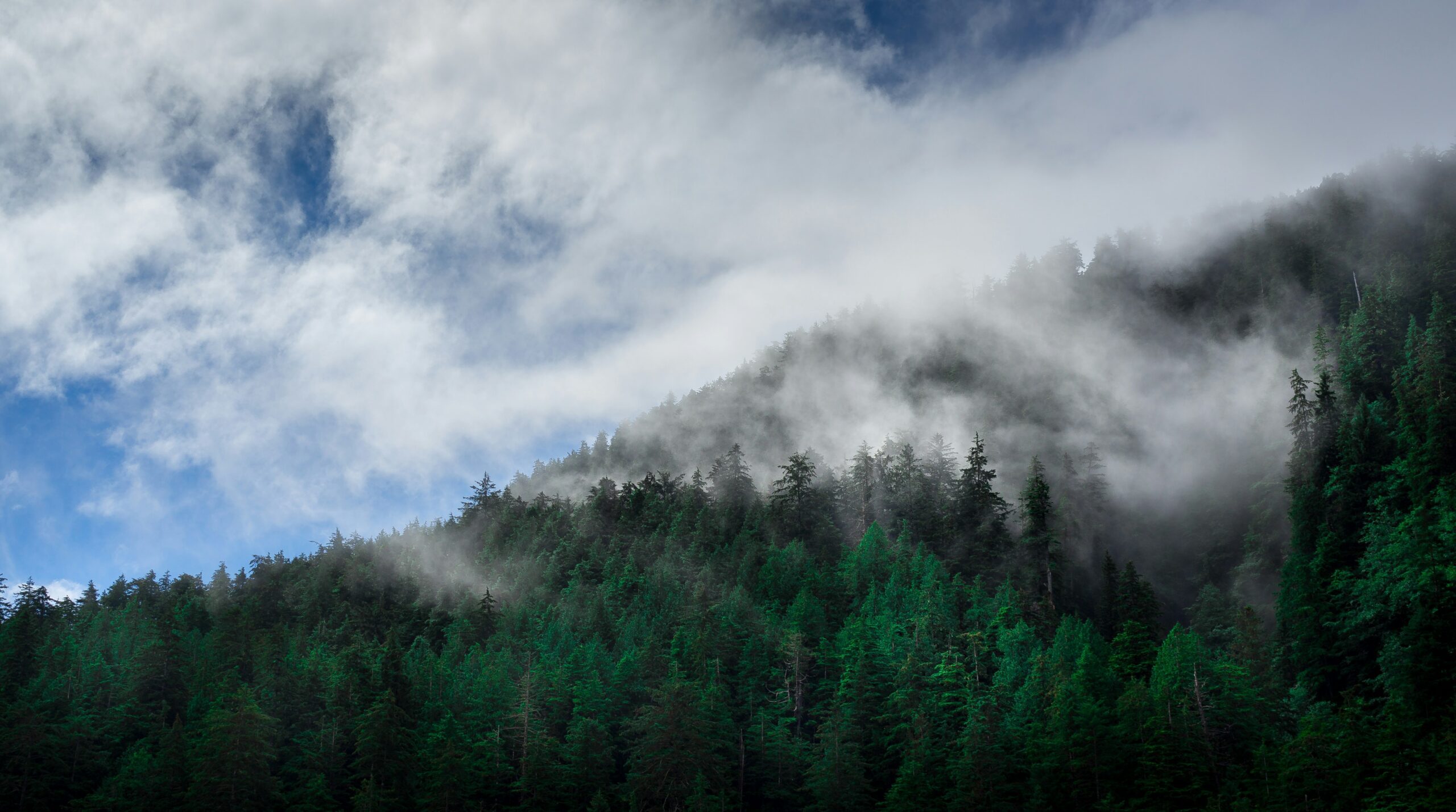 gwaii haanas national park