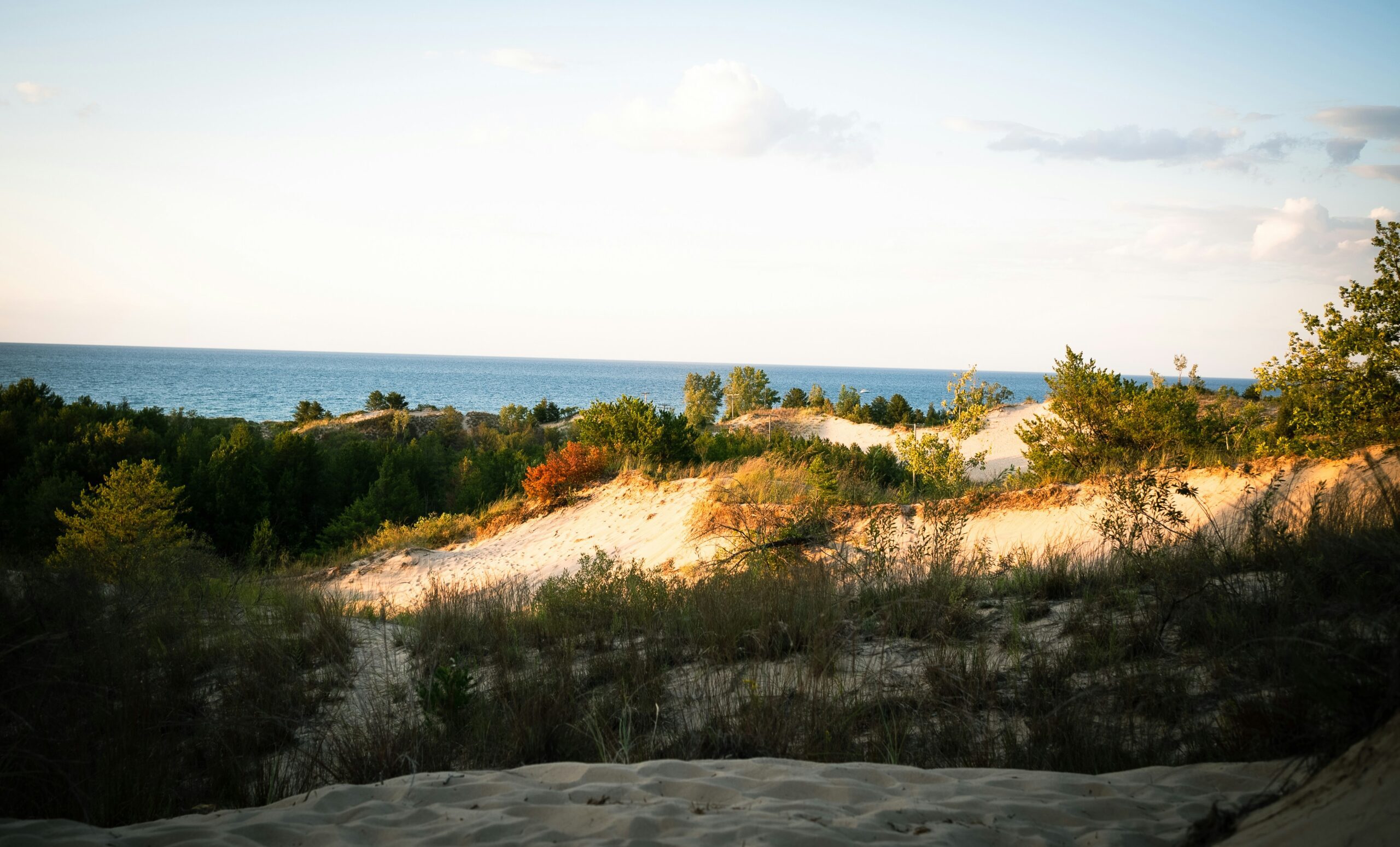 indiana dunes national park2 scaled