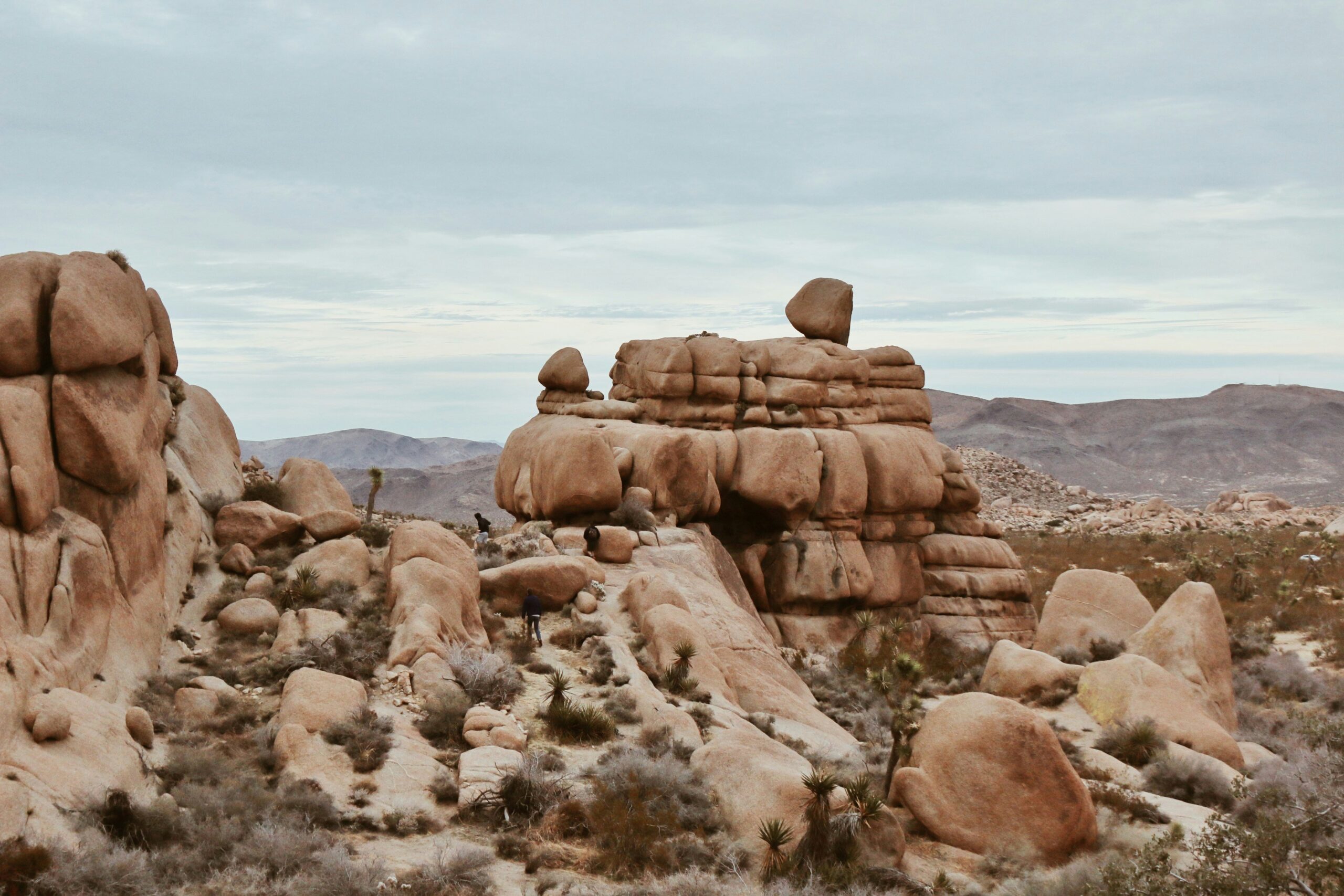 joshua tree national park scaled