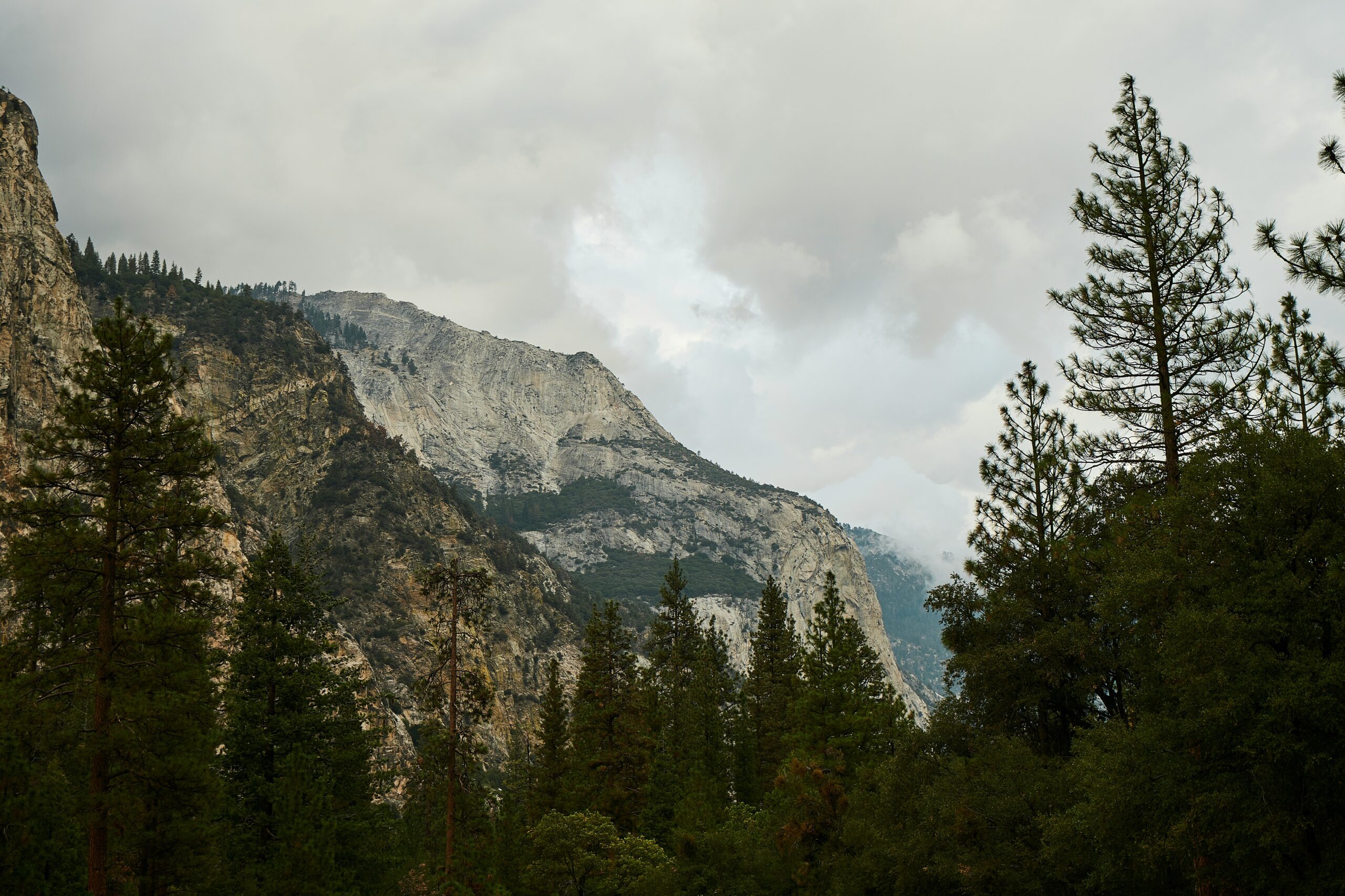 kings canyon national park