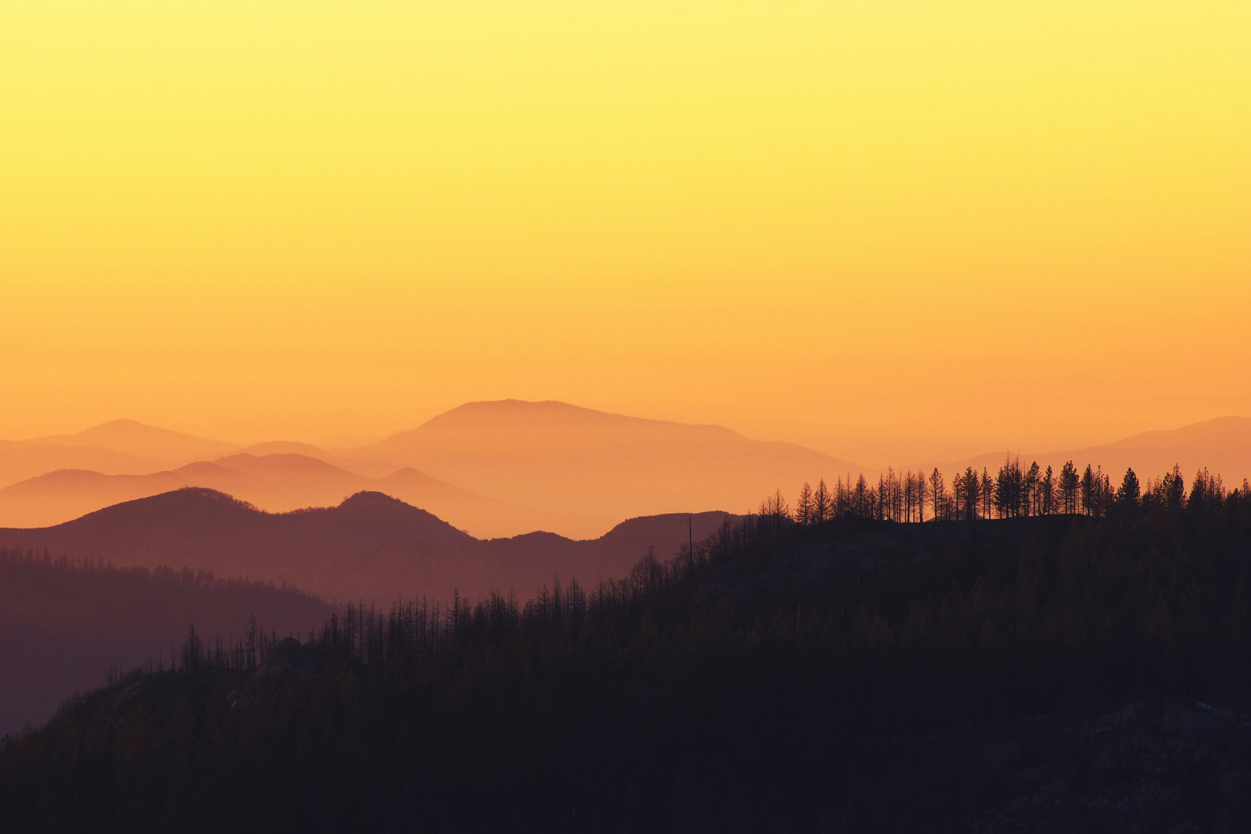 kings canyon national park scaled