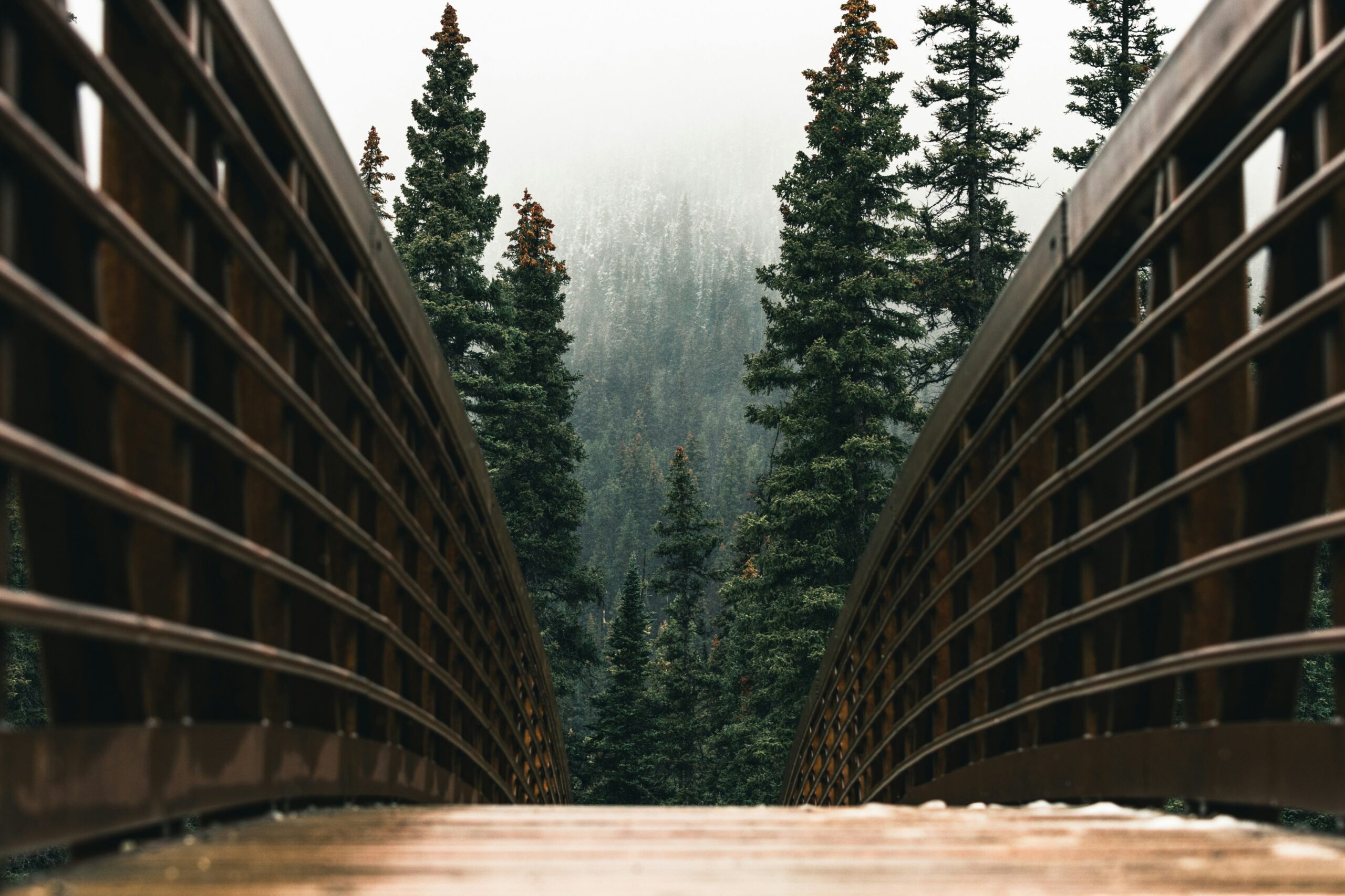 kootenay national park scaled