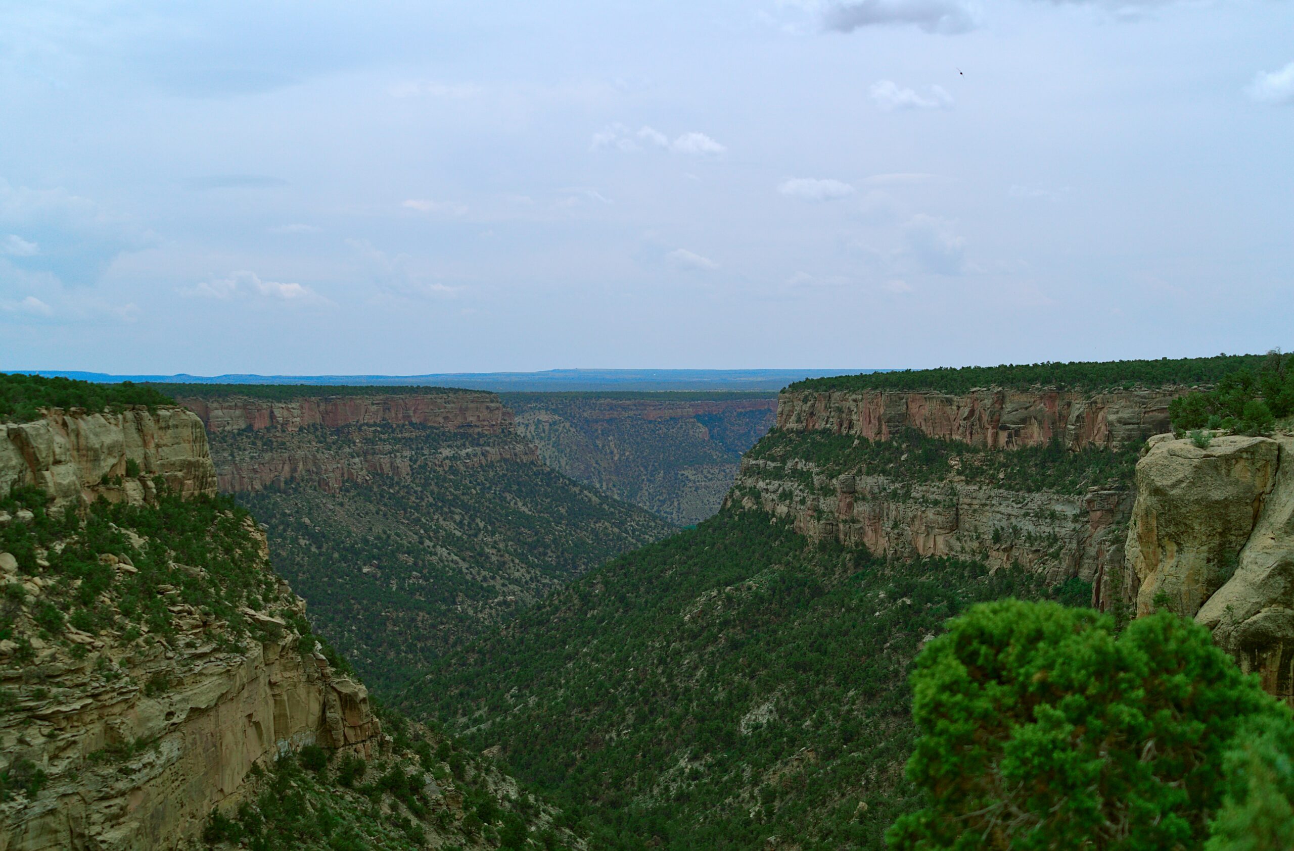 mesa verde national park scaled