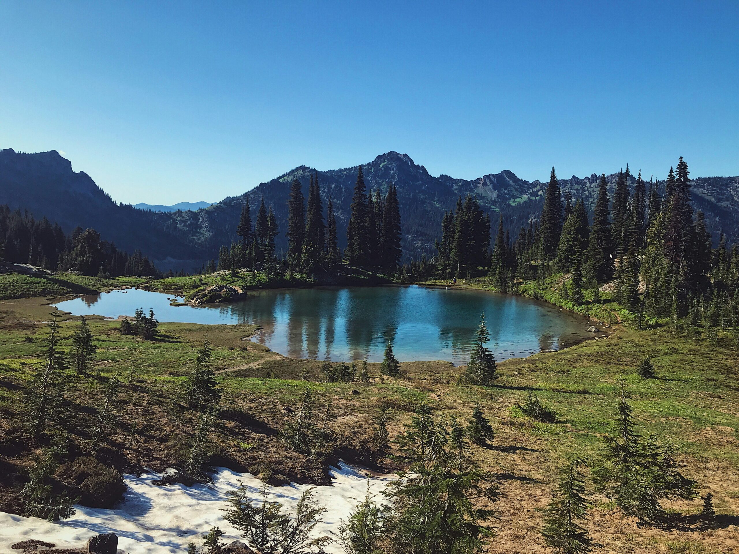 mount rainier national park scaled