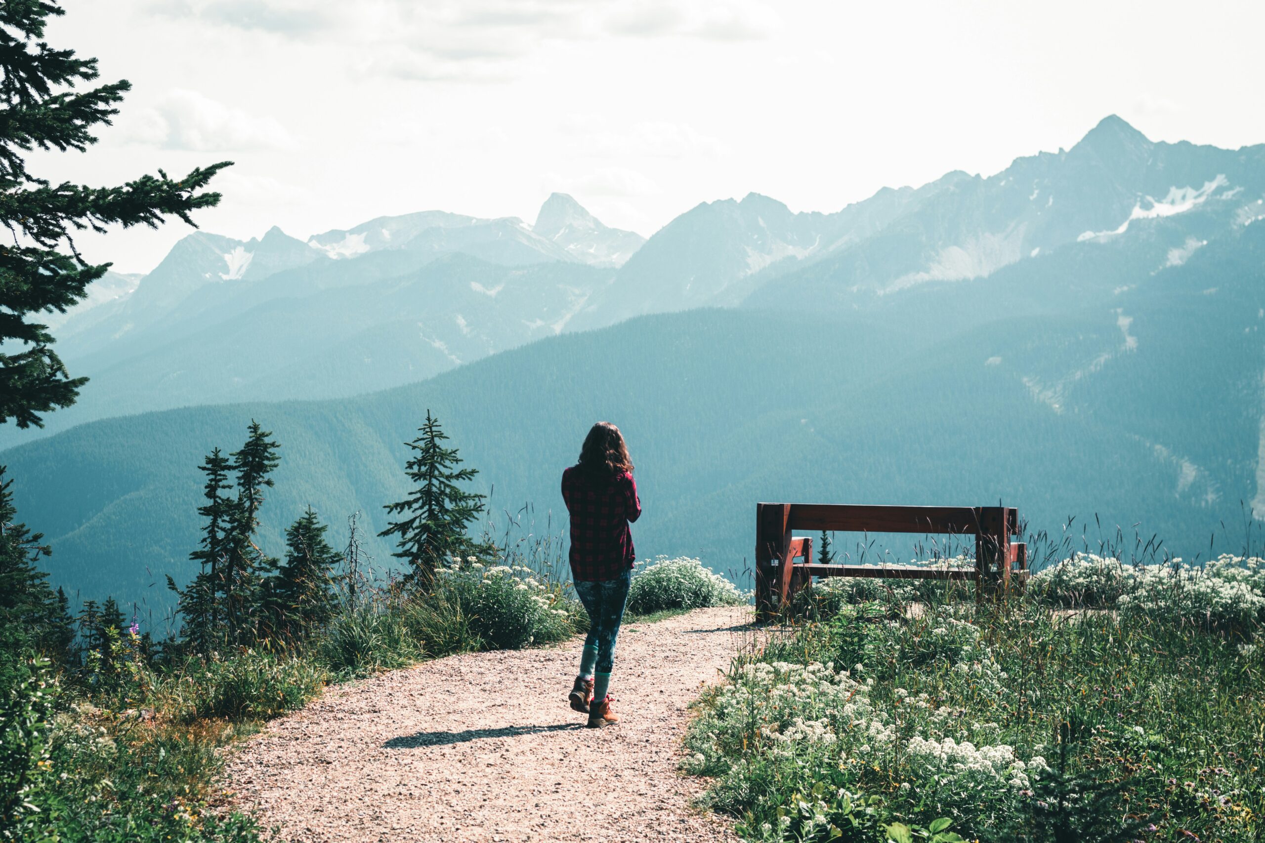 mount revelstoke national park2 scaled