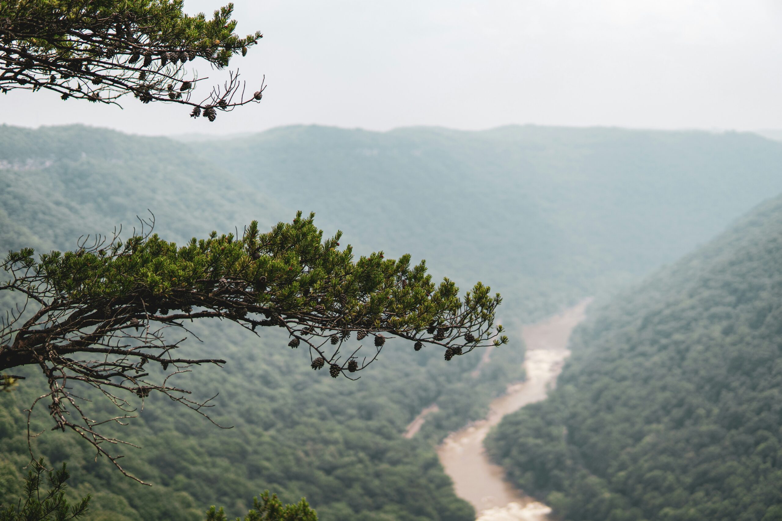 new river gorge national park3 scaled