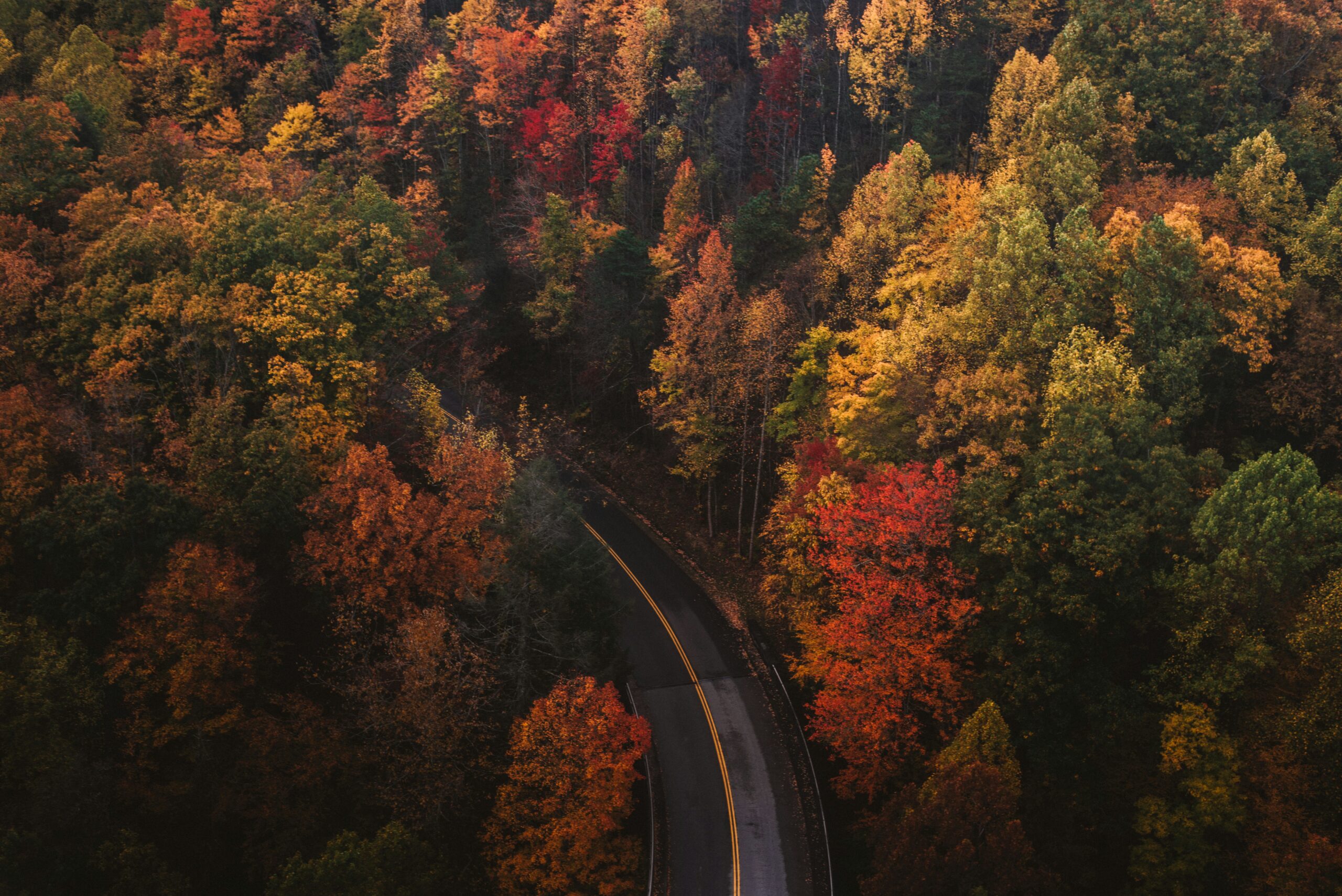 gatlinburg drone shot of forest