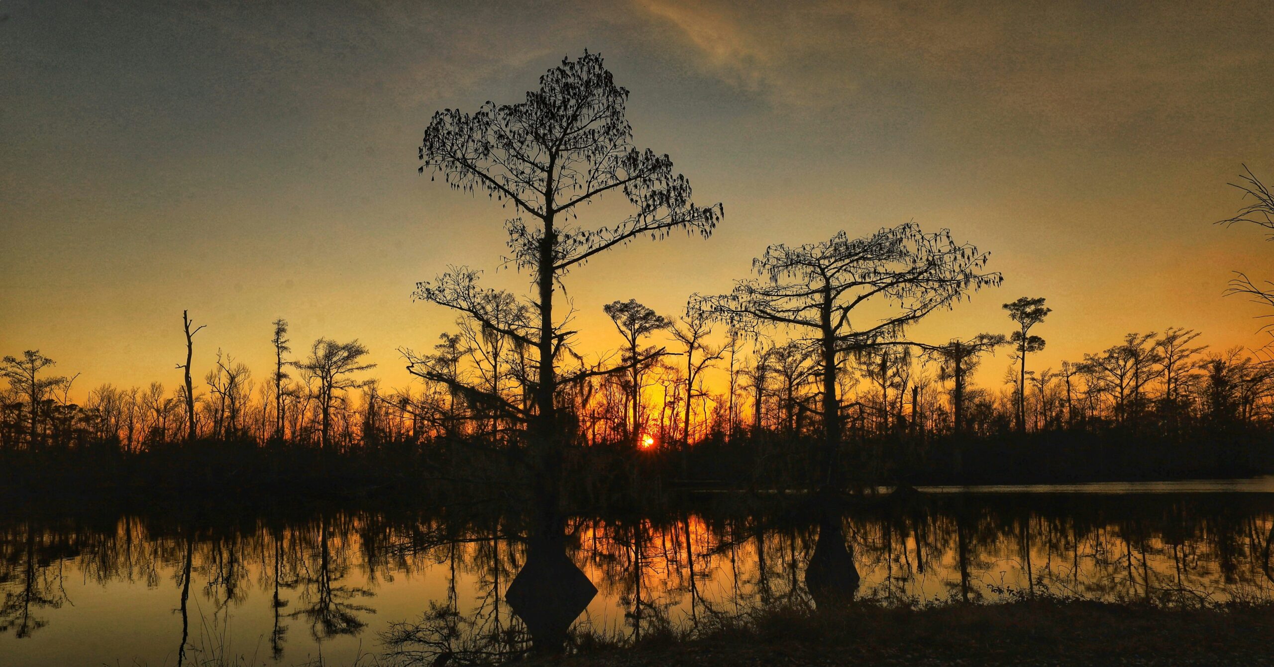 lake charles scaled