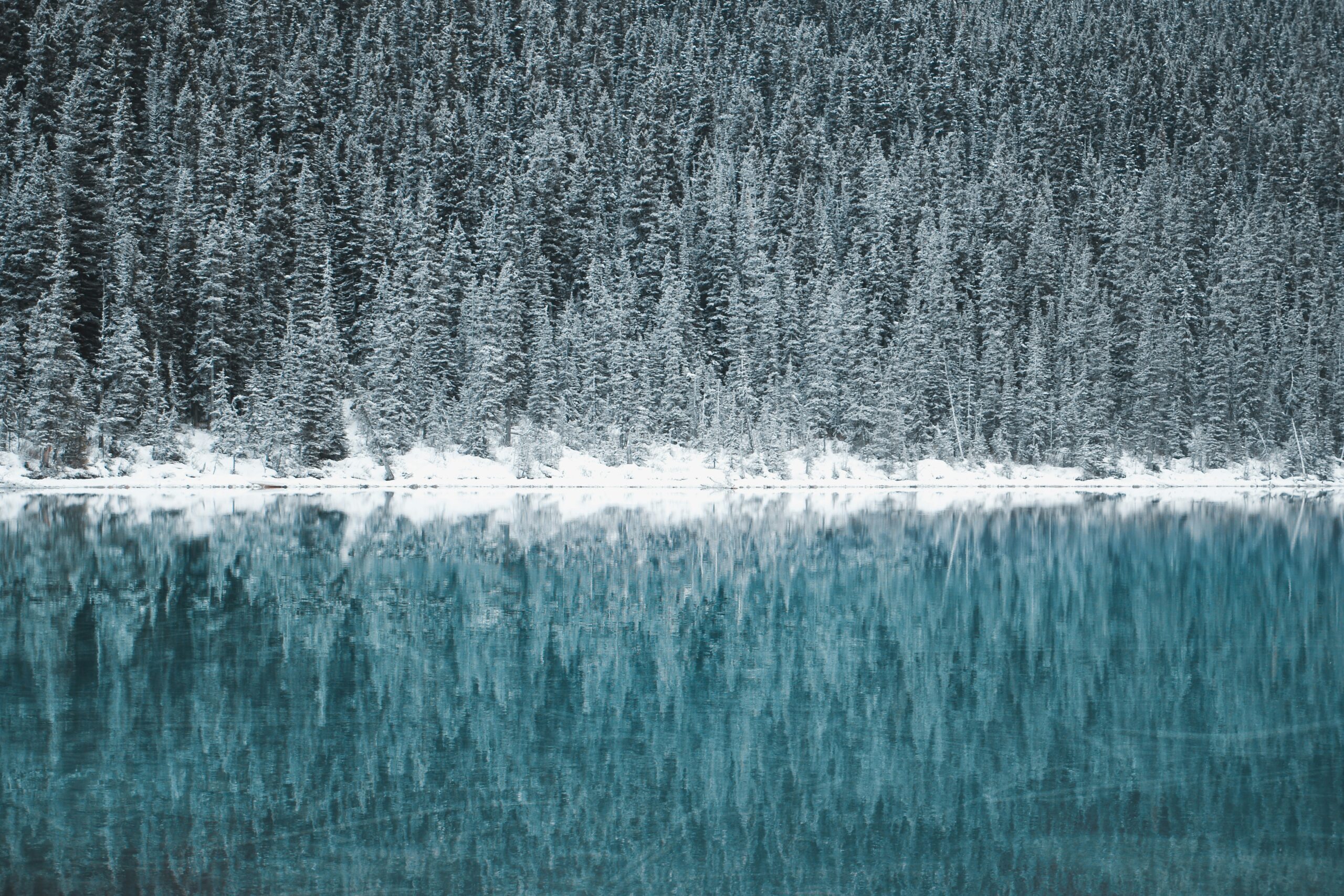 lake louise scaled