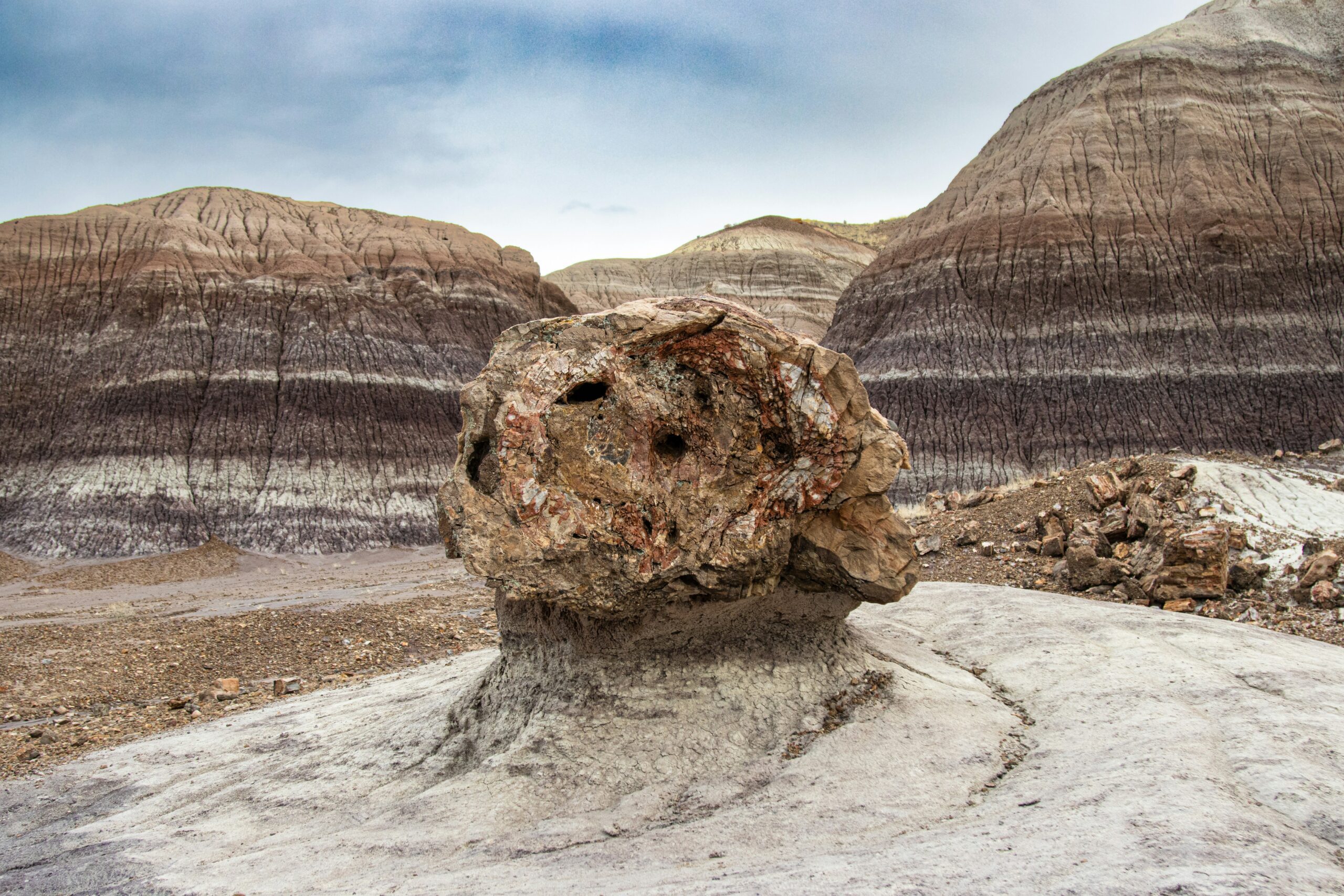 petrified forest national park scaled