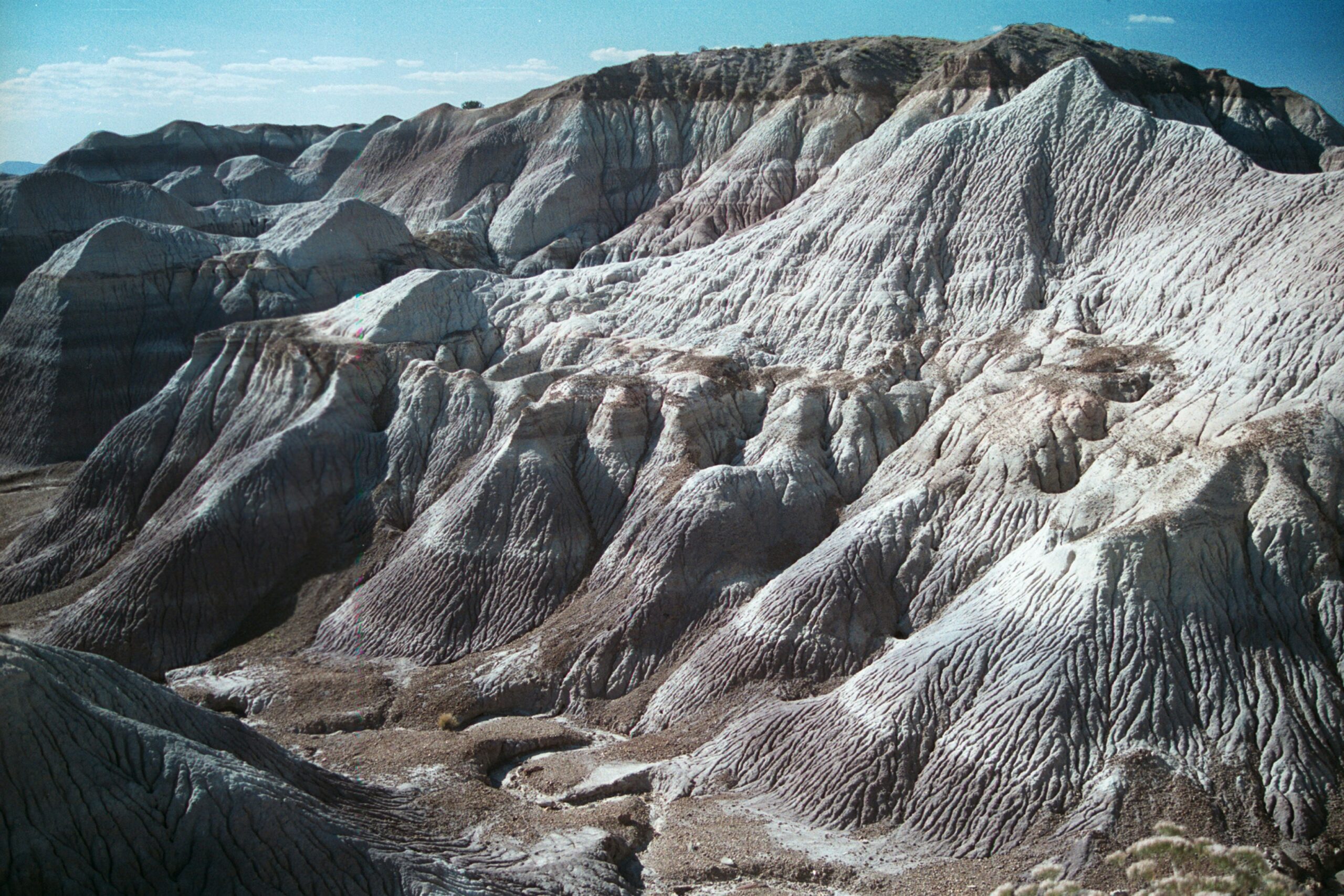 petrified forest national park scaled