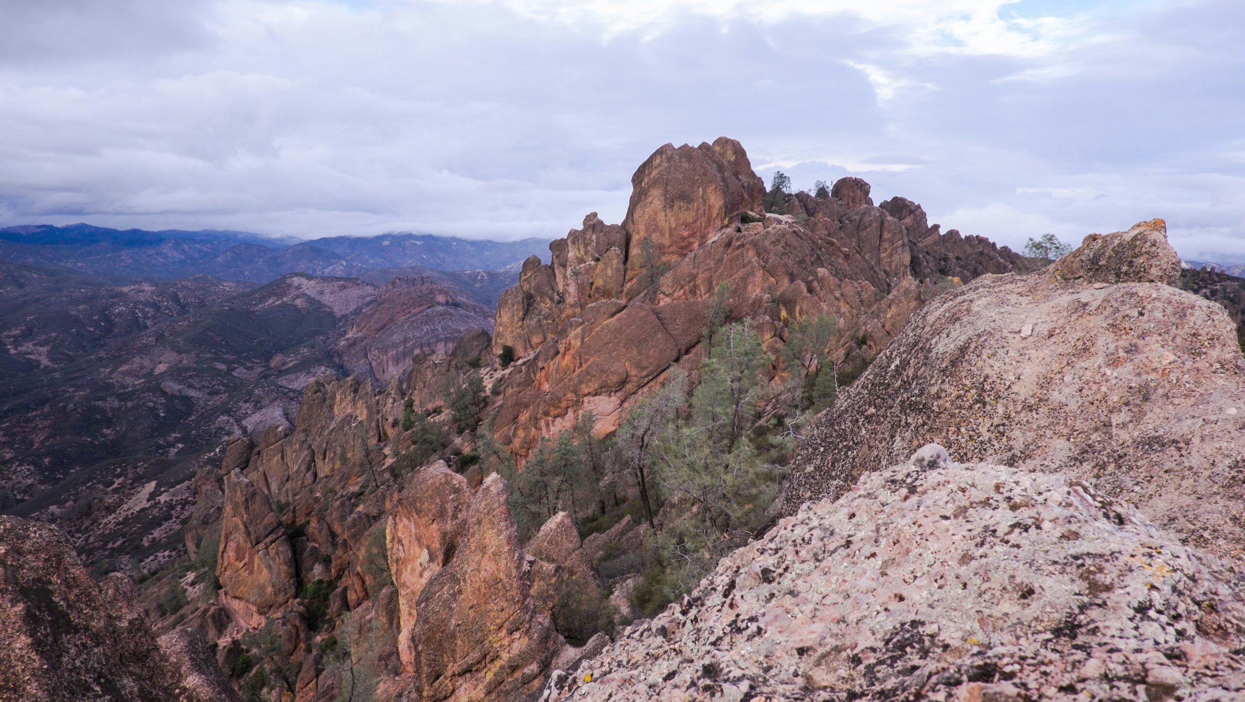 pinnacles national park scaled