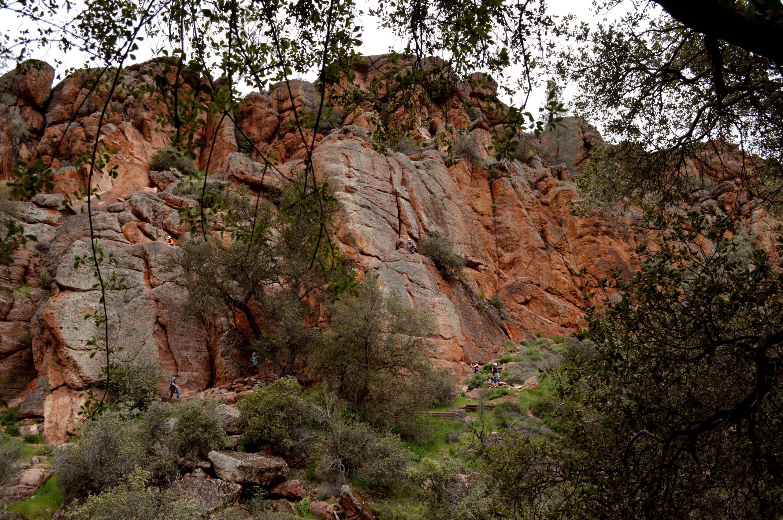 pinnacles national park scaled