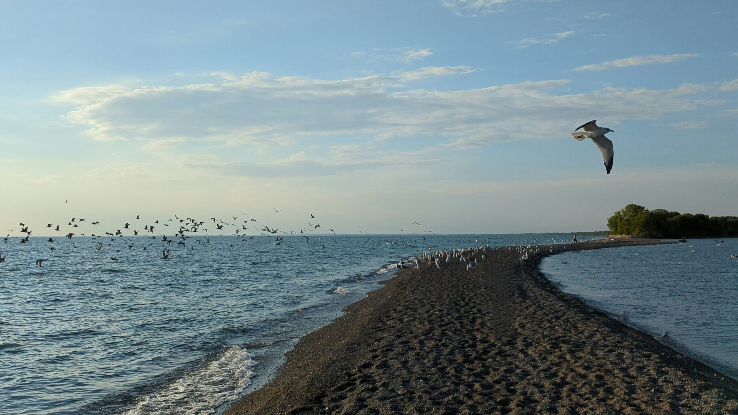 point pelee national park