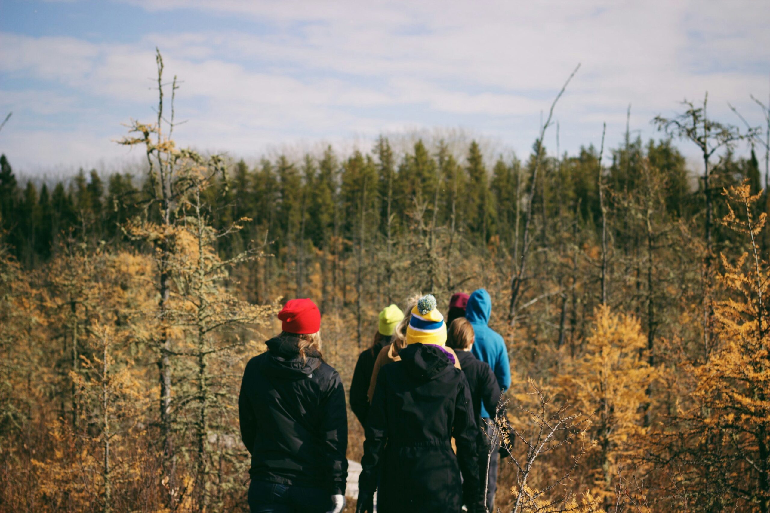 prince albert national park scaled