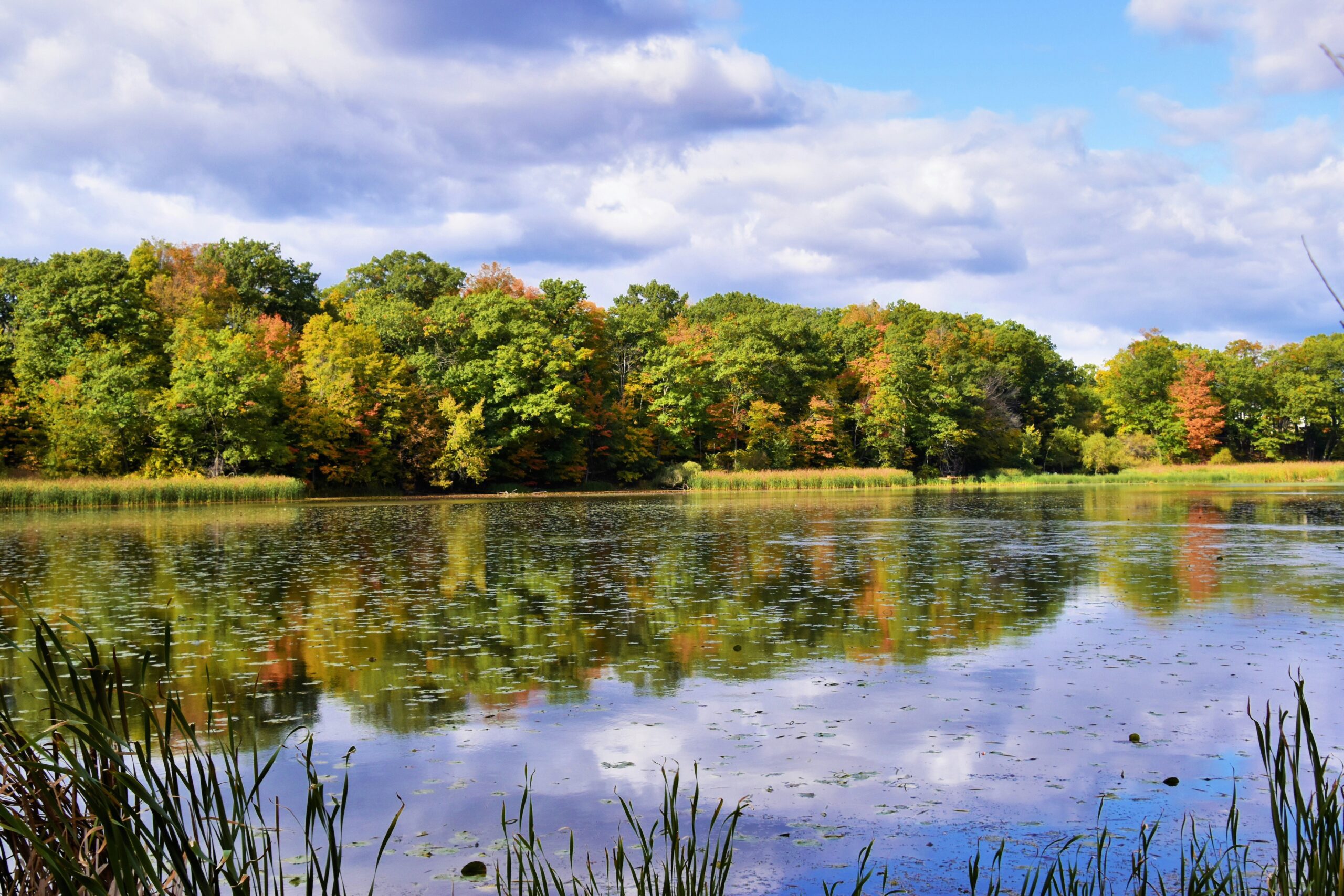 rouge national urban park