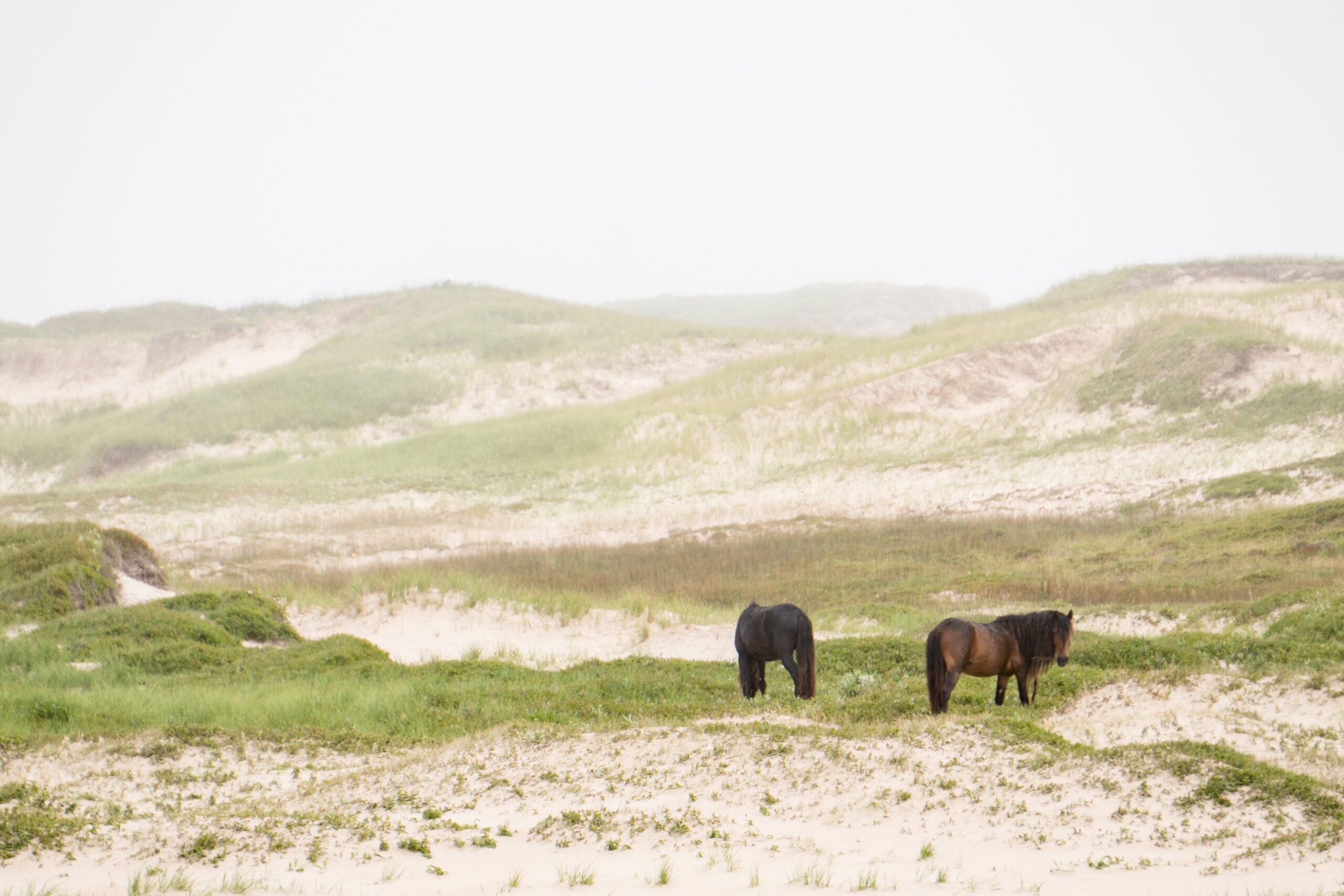 sable island national park