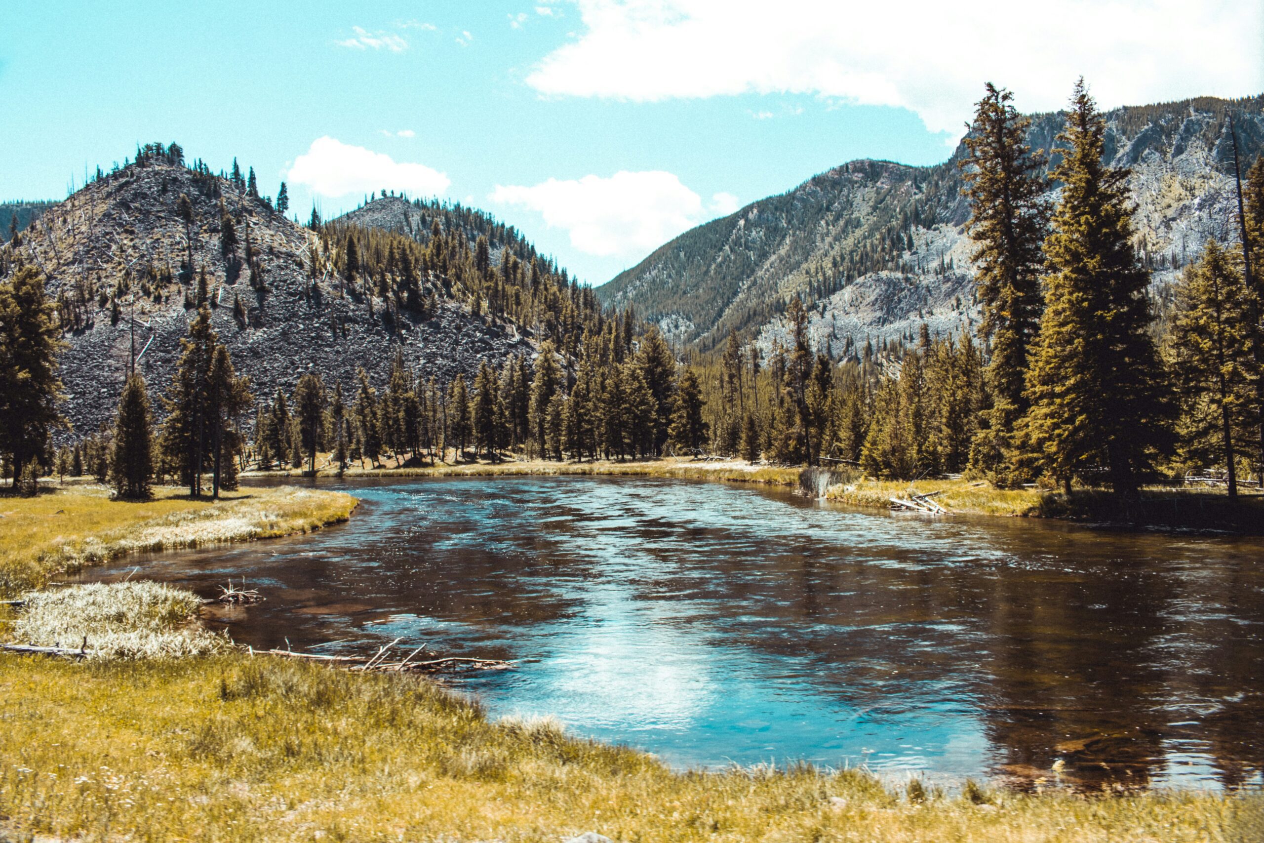 yellowstone national park2 scaled