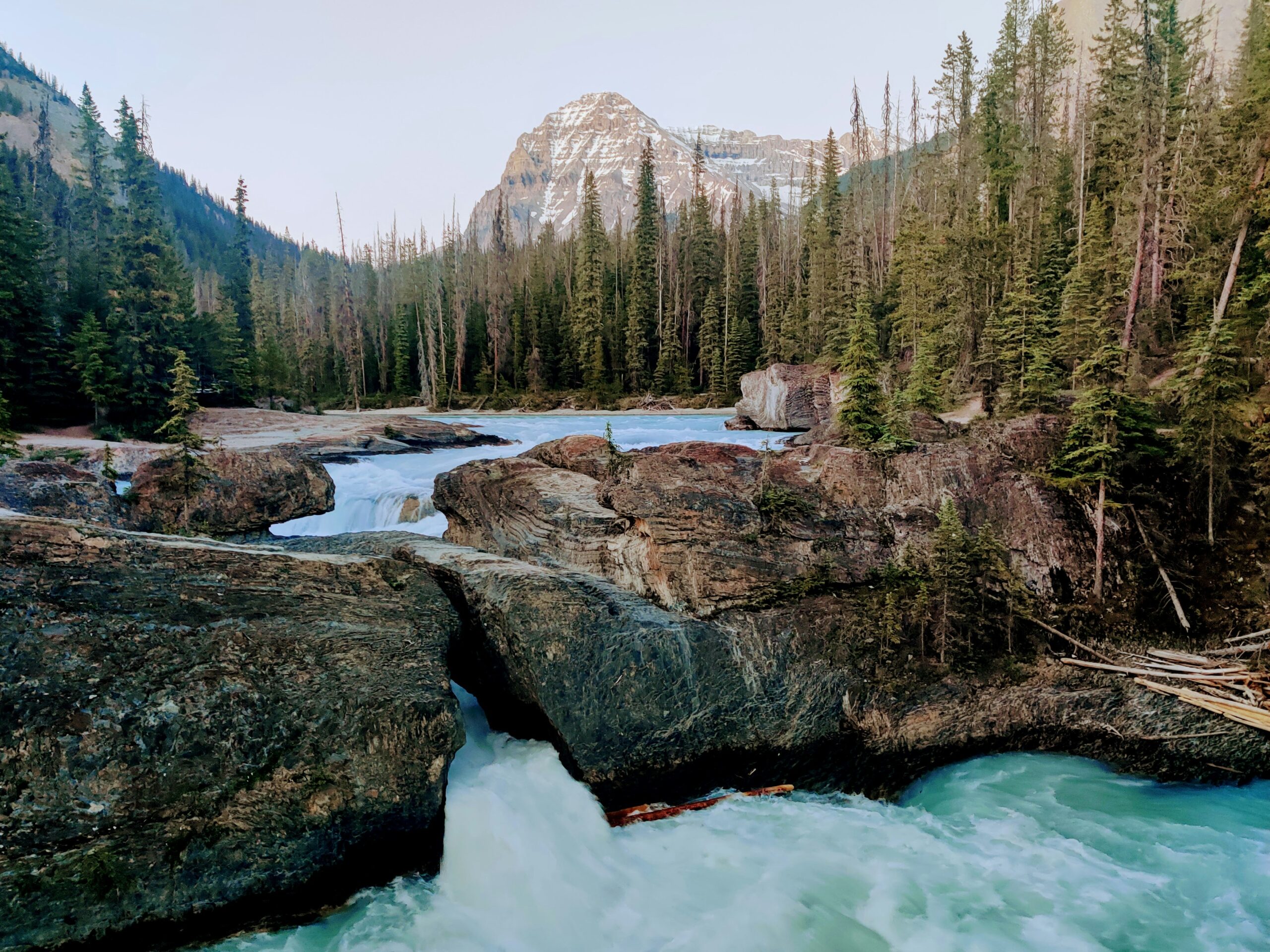 yoho national park