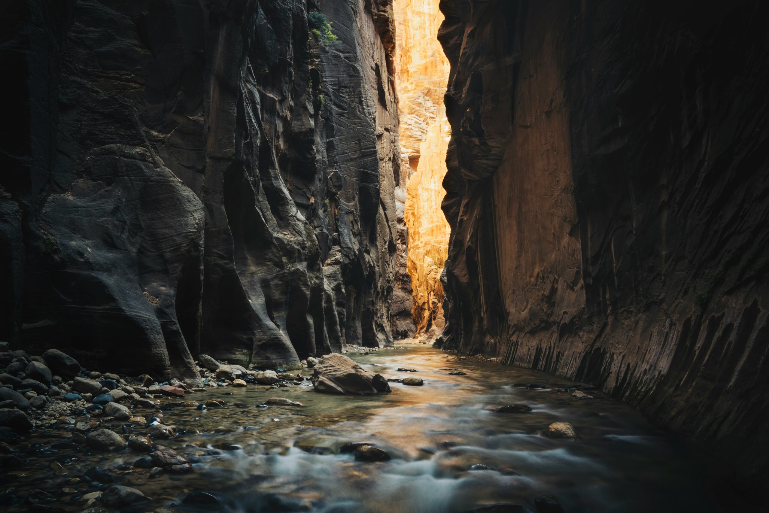 zion national park scaled